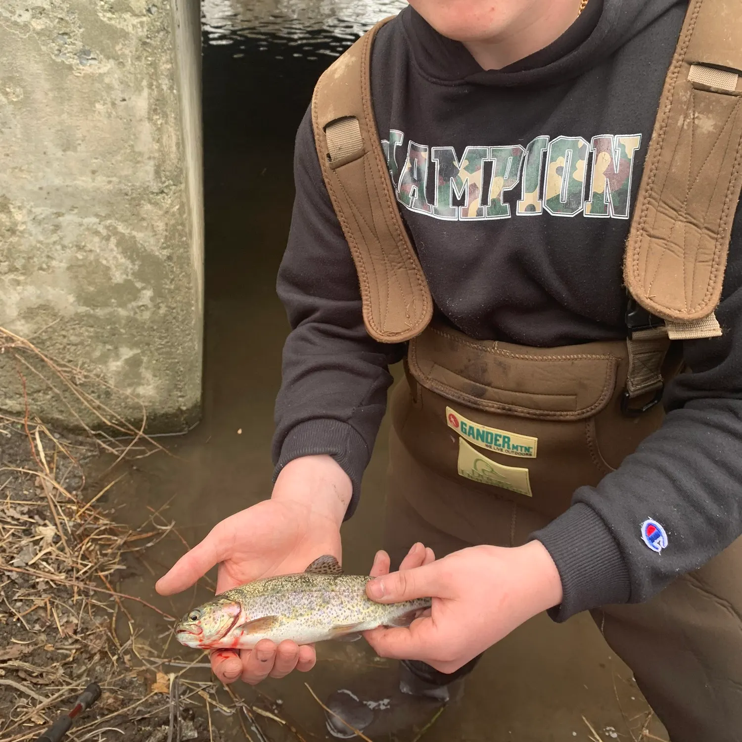 angler catch