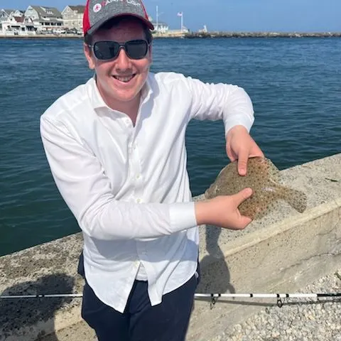 The most recent Windowpane flounder catches on Fishbrain