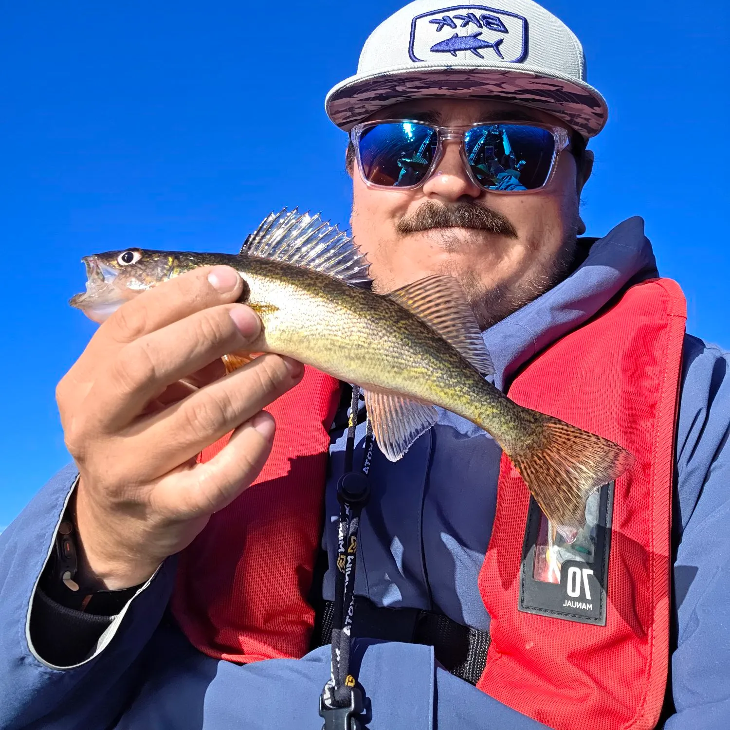 Walleye caught on Fishbrain