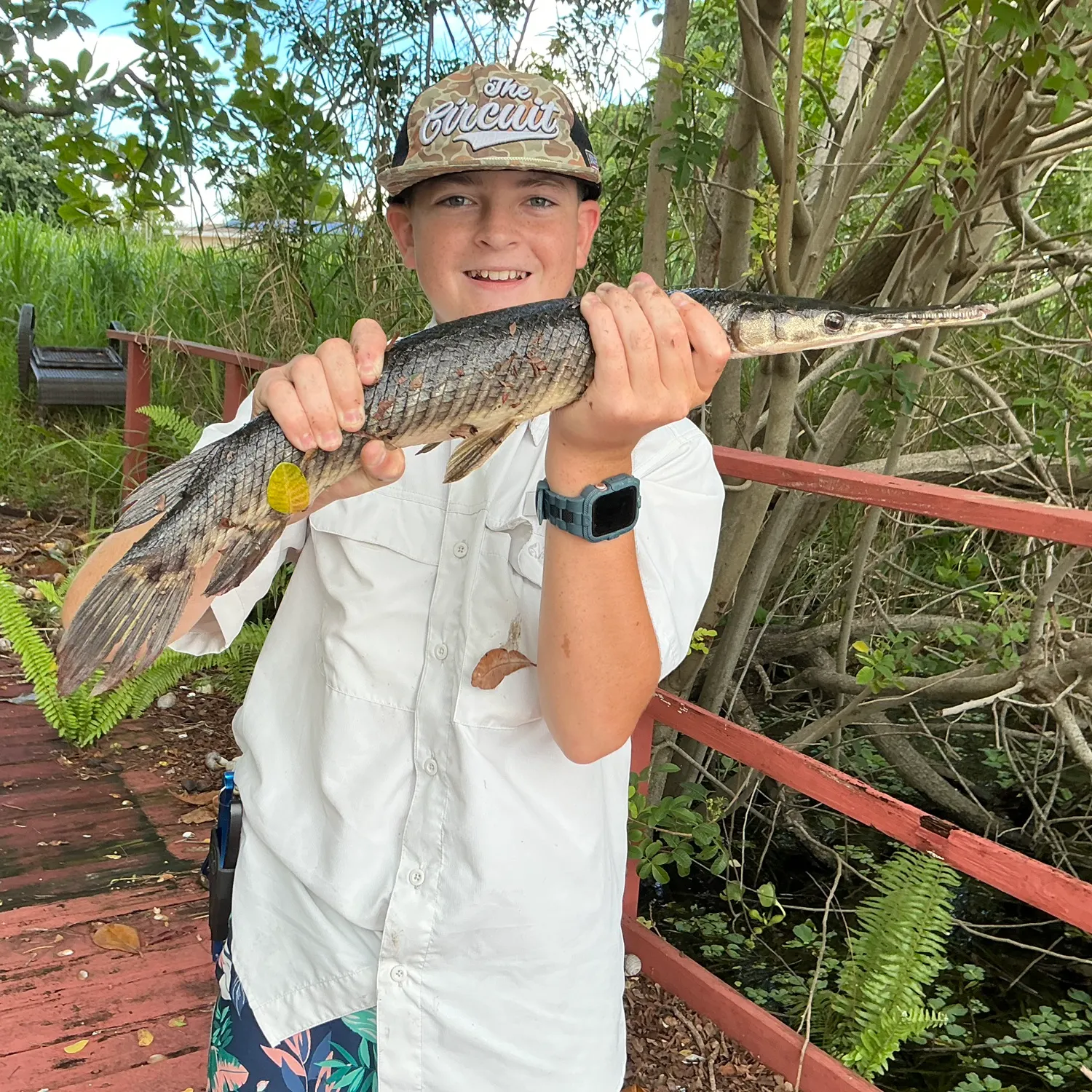 The most recent Florida gar catches on Fishbrain