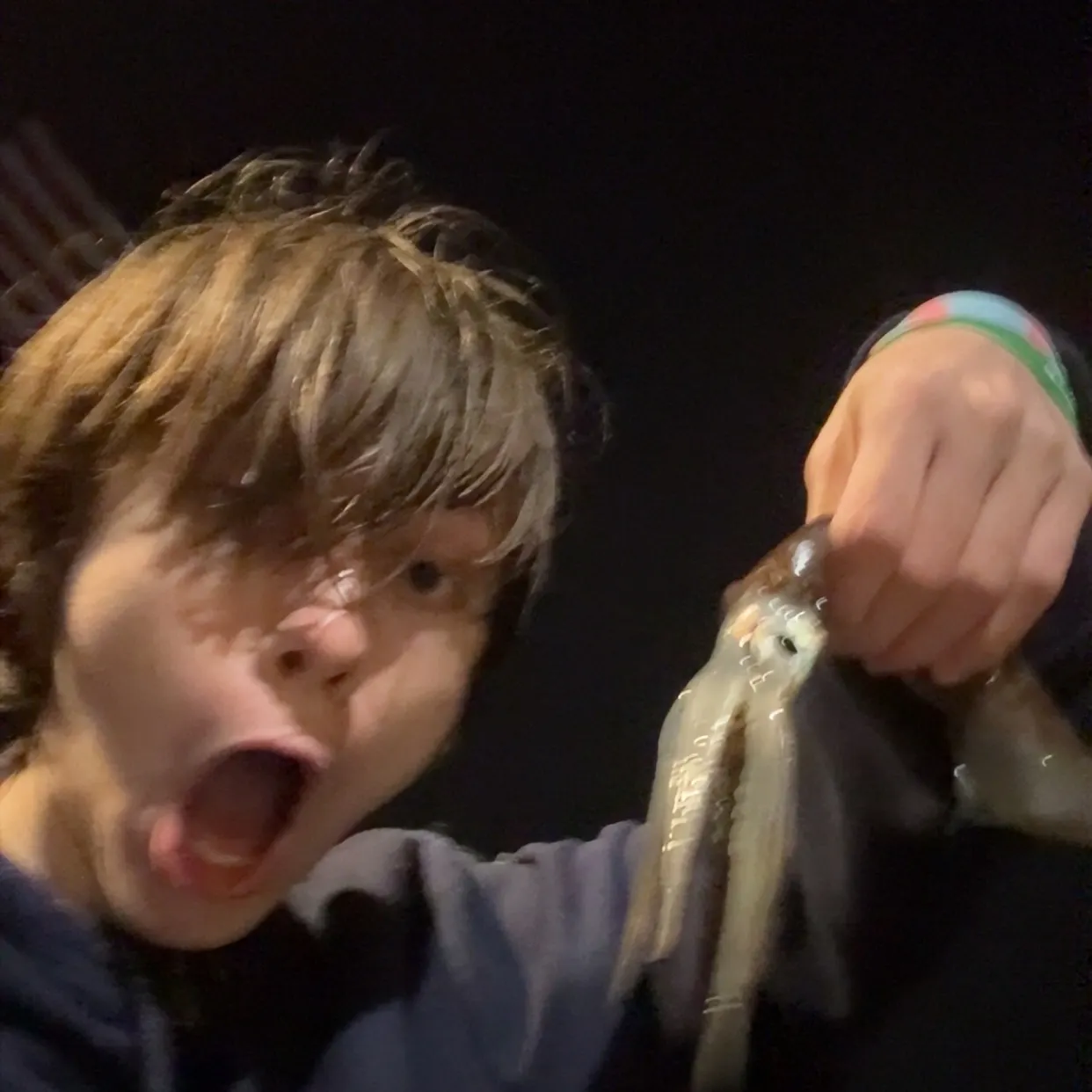 The most recent Northern shortfin squid catches on Fishbrain