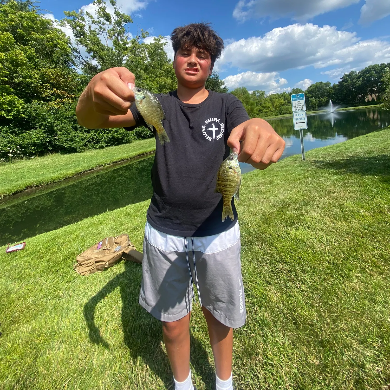 Bluegill caught on Fishbrain