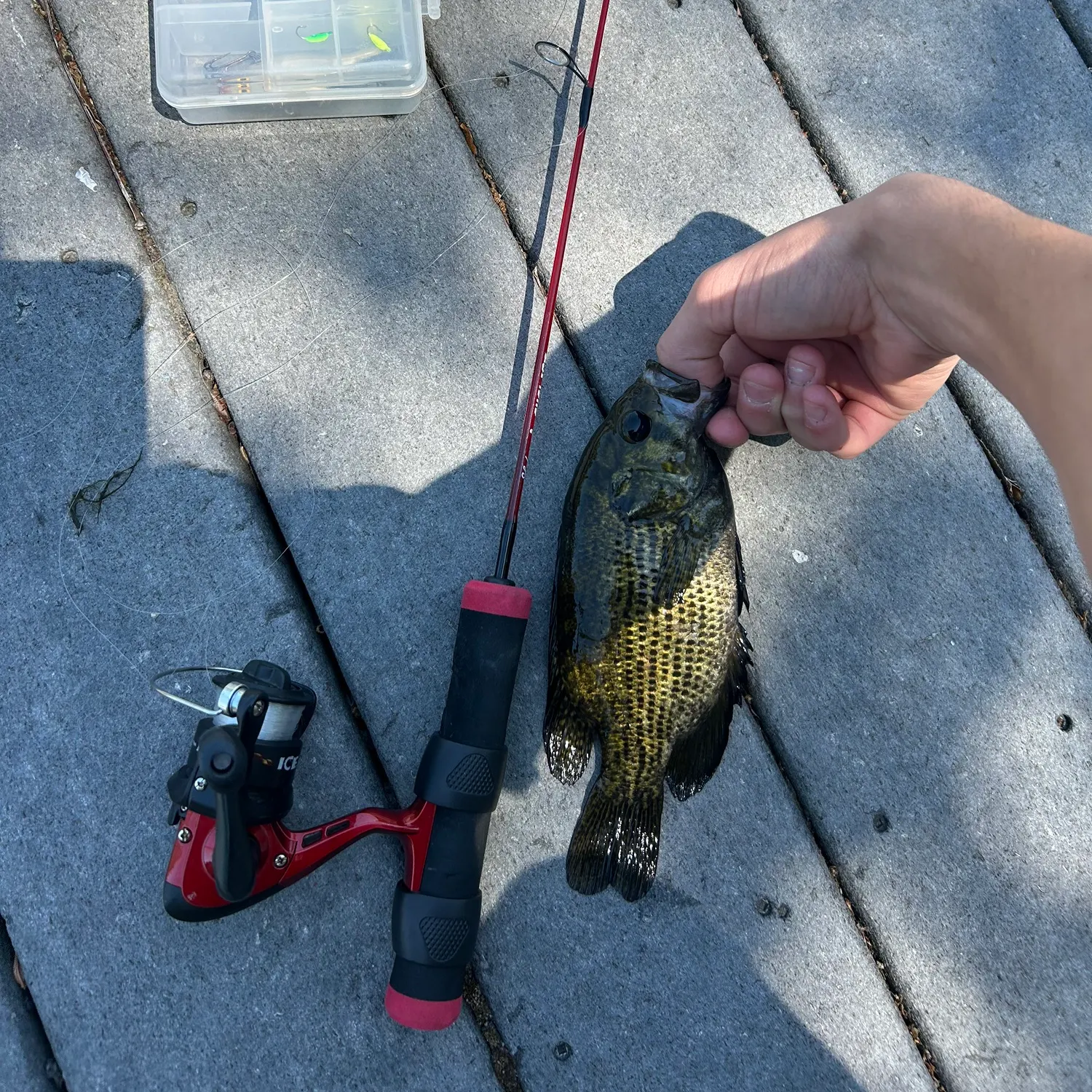 catch