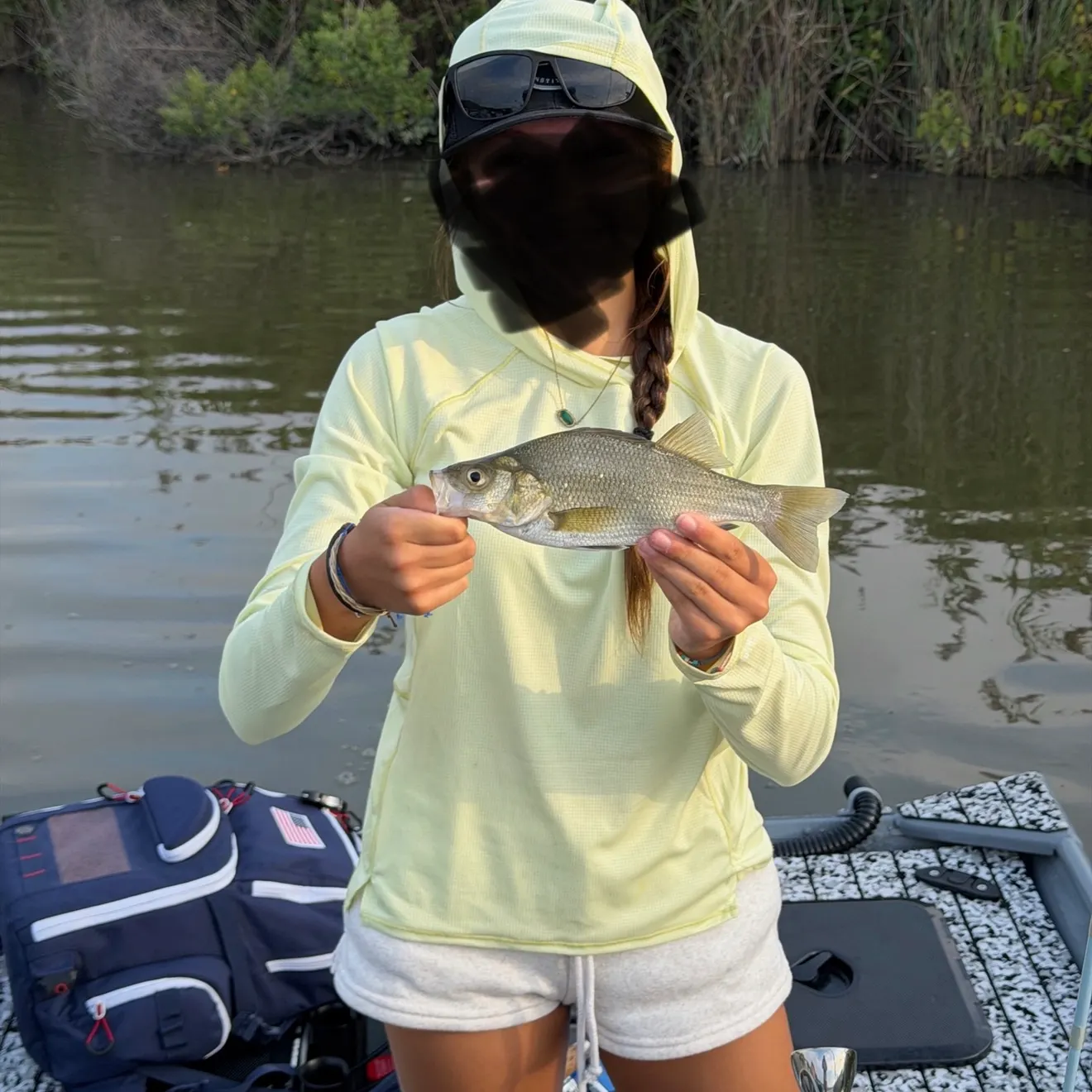 White perch caught on Fishbrain