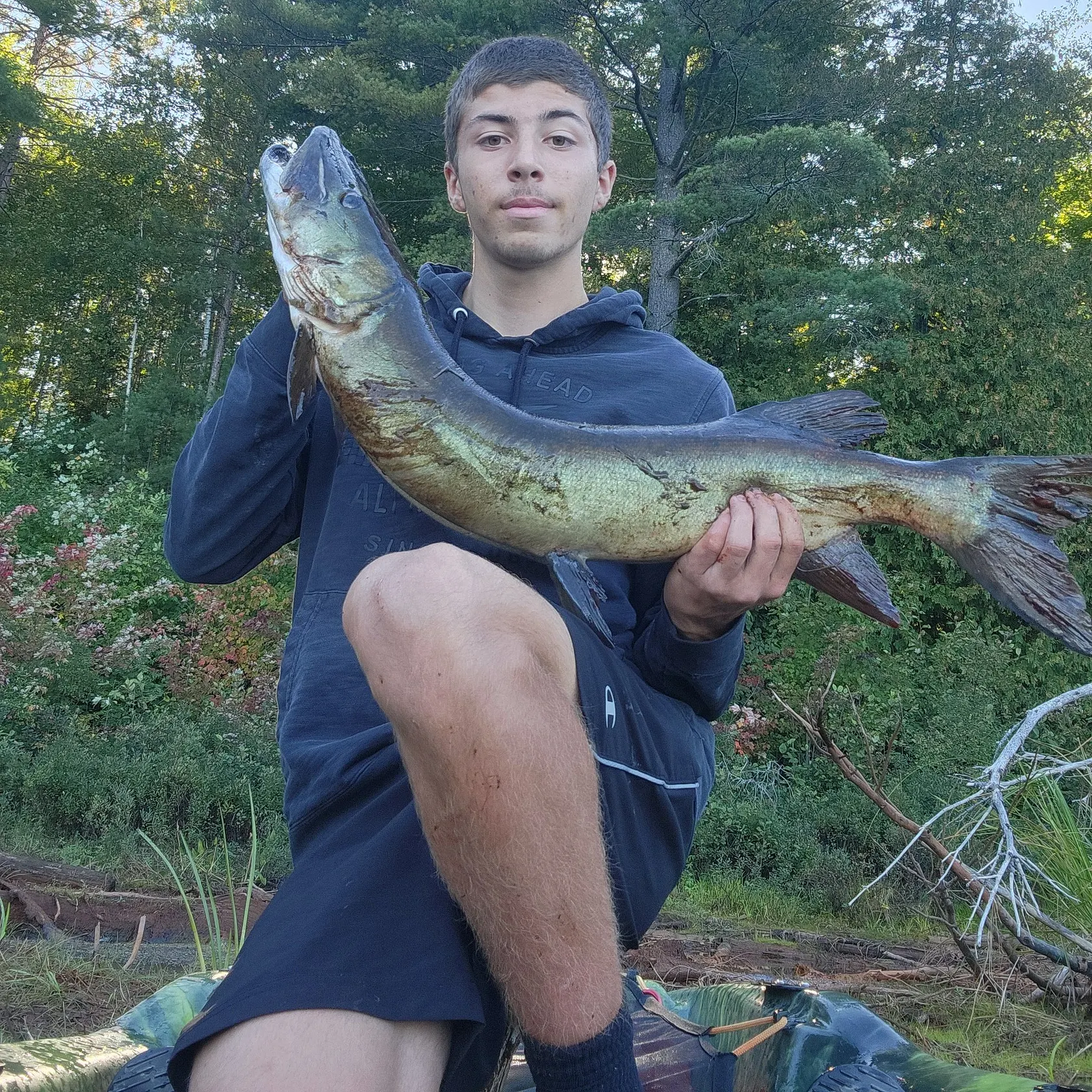 The most recent Muskie catches on Fishbrain
