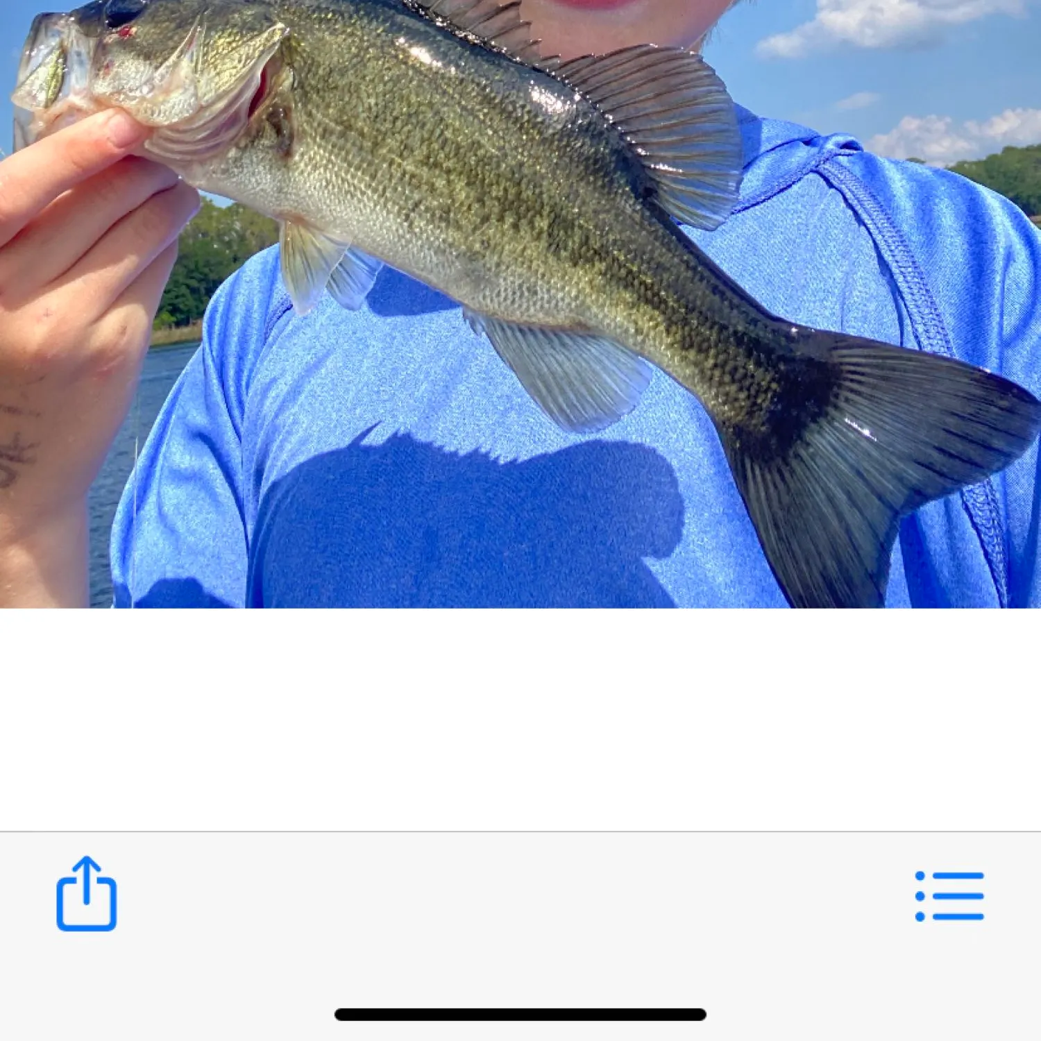 recently logged catches