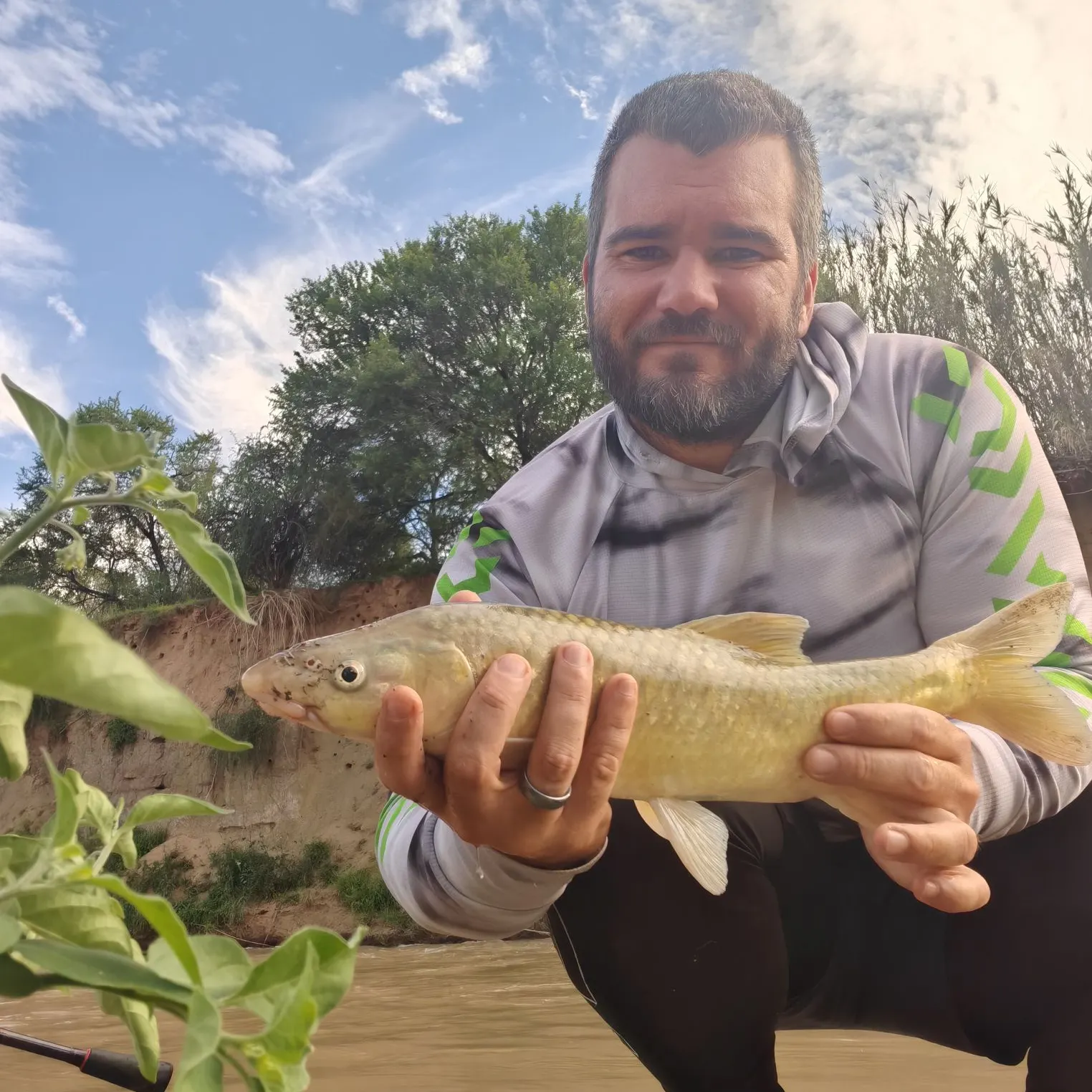 The most recent Smallmouth yellowfish catches on Fishbrain