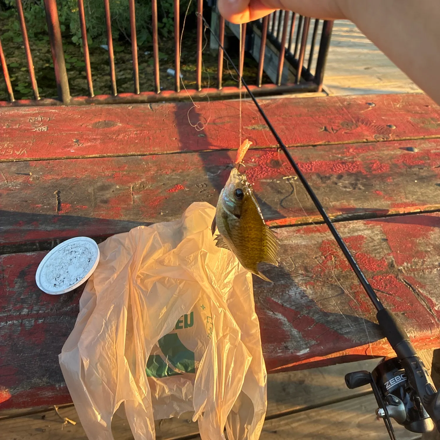 catch