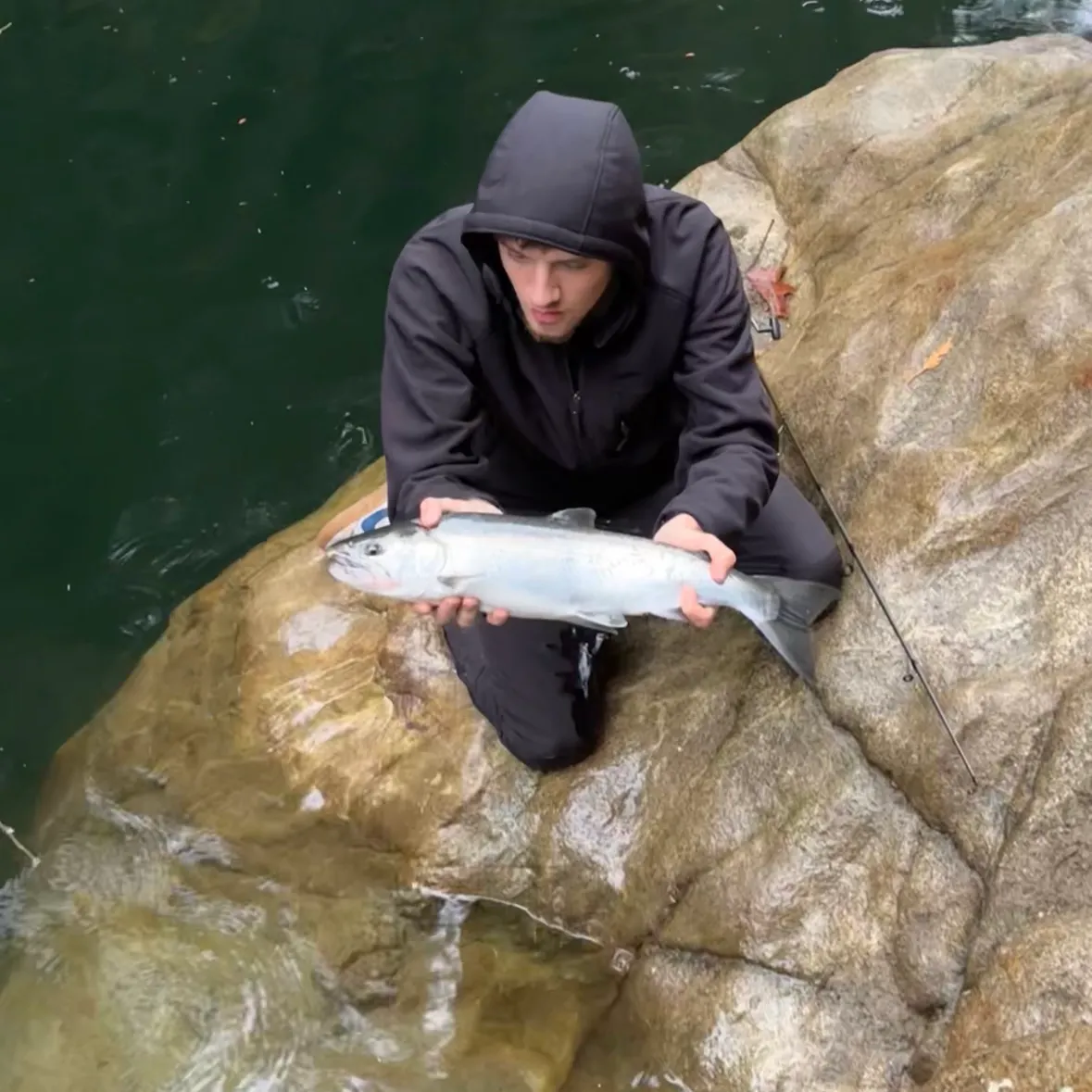 Coho salmon caught on Fishbrain