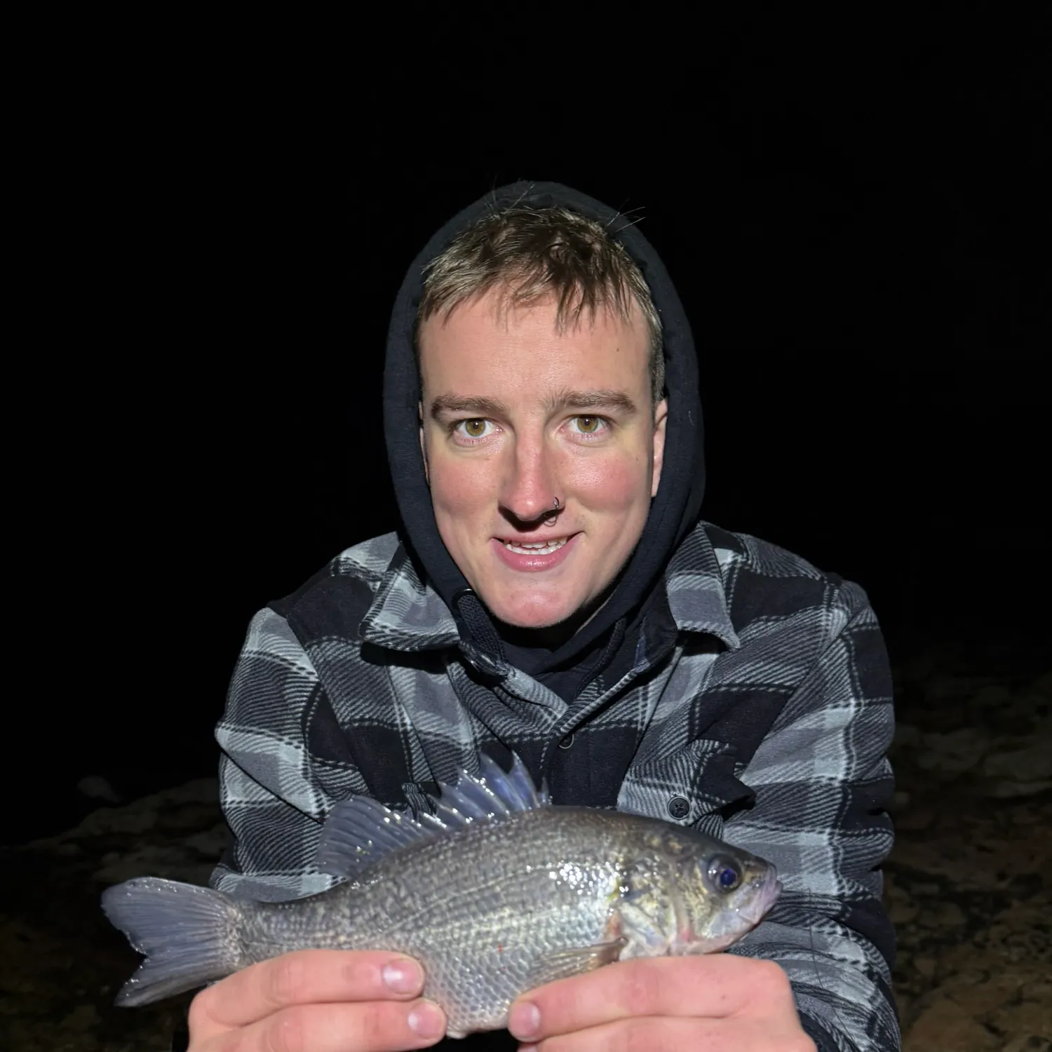 The most recent Estuary perch catches on Fishbrain