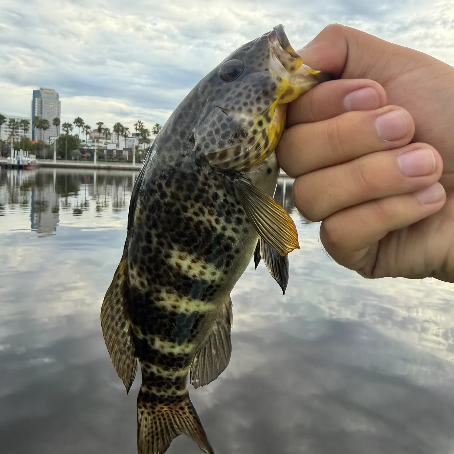 catch