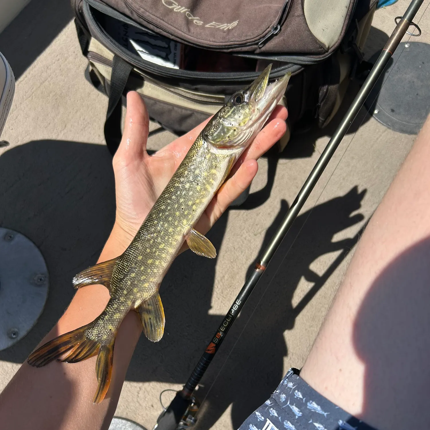 catch