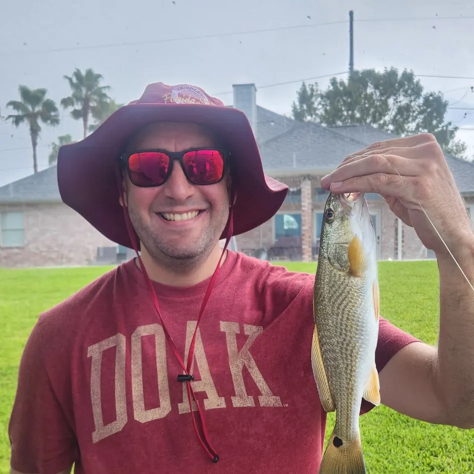 Red drum caught on Fishbrain