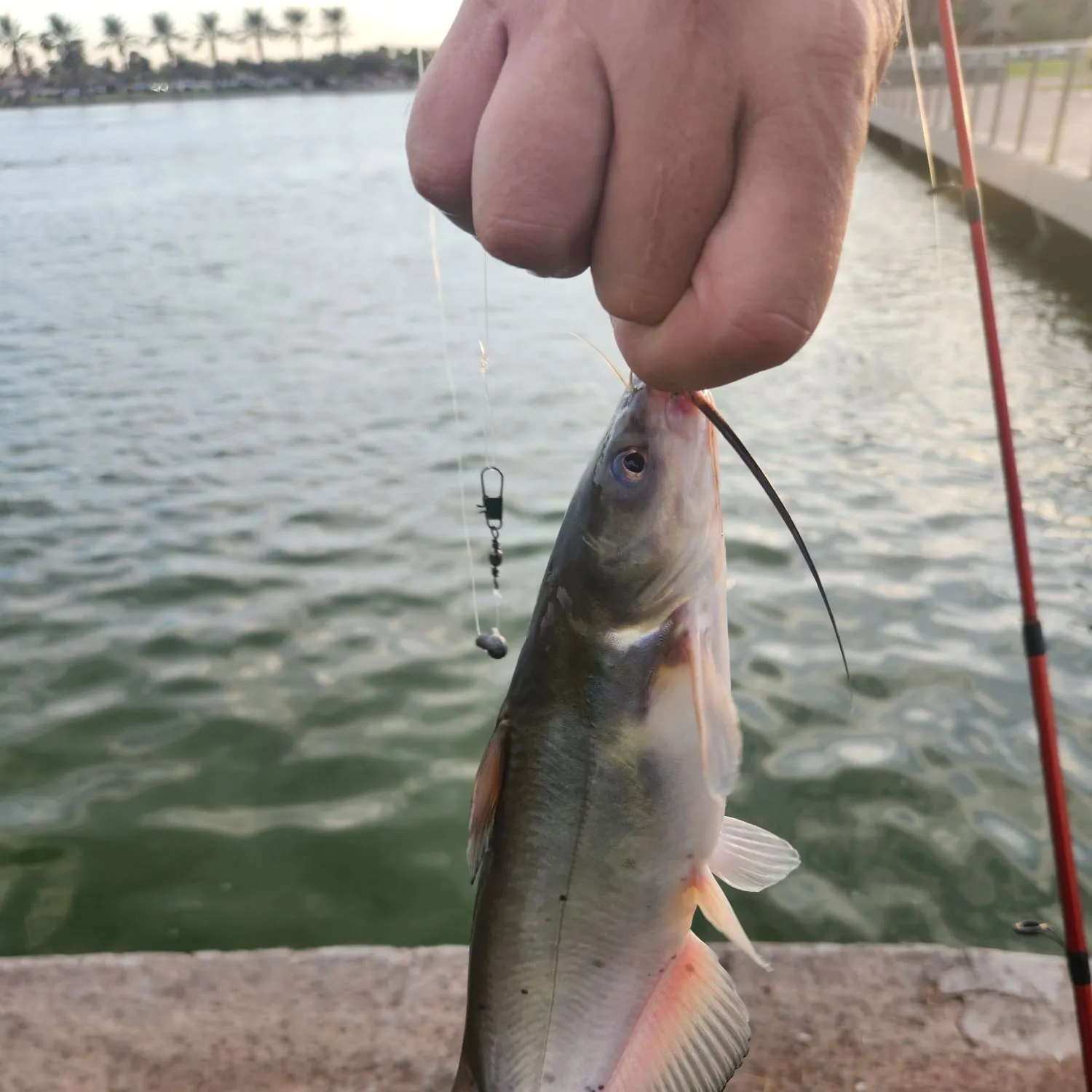 catch