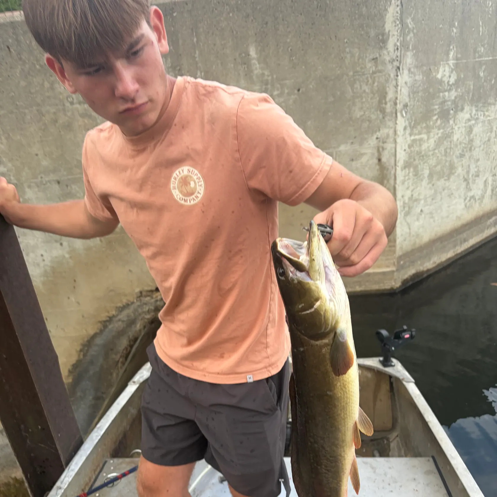 Ruddy bowfin caught on Fishbrain