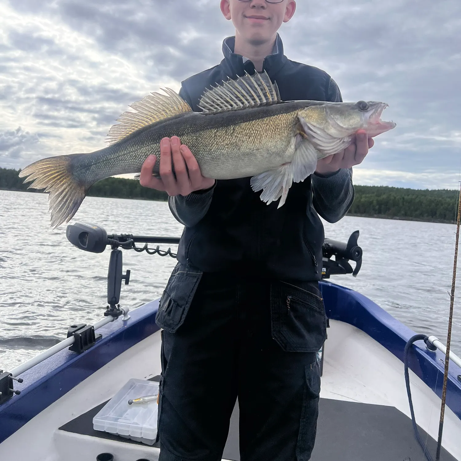The most recent Zander catches on Fishbrain