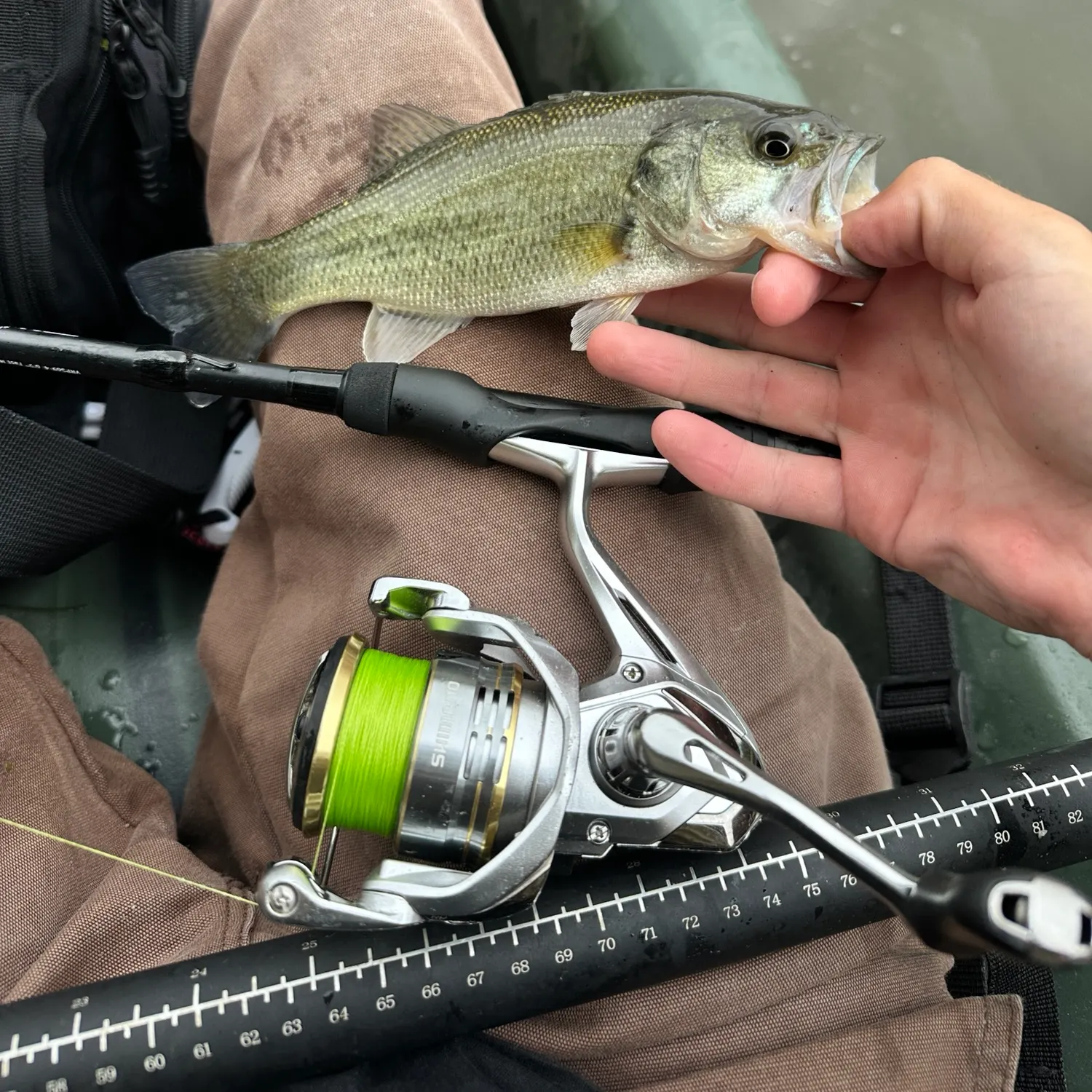 Largemouth bass caught on Fishbrain