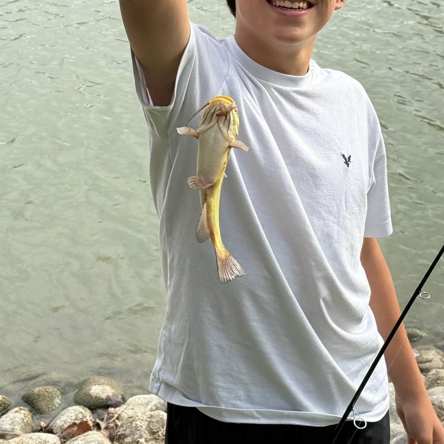 Yellow bullhead caught on Fishbrain