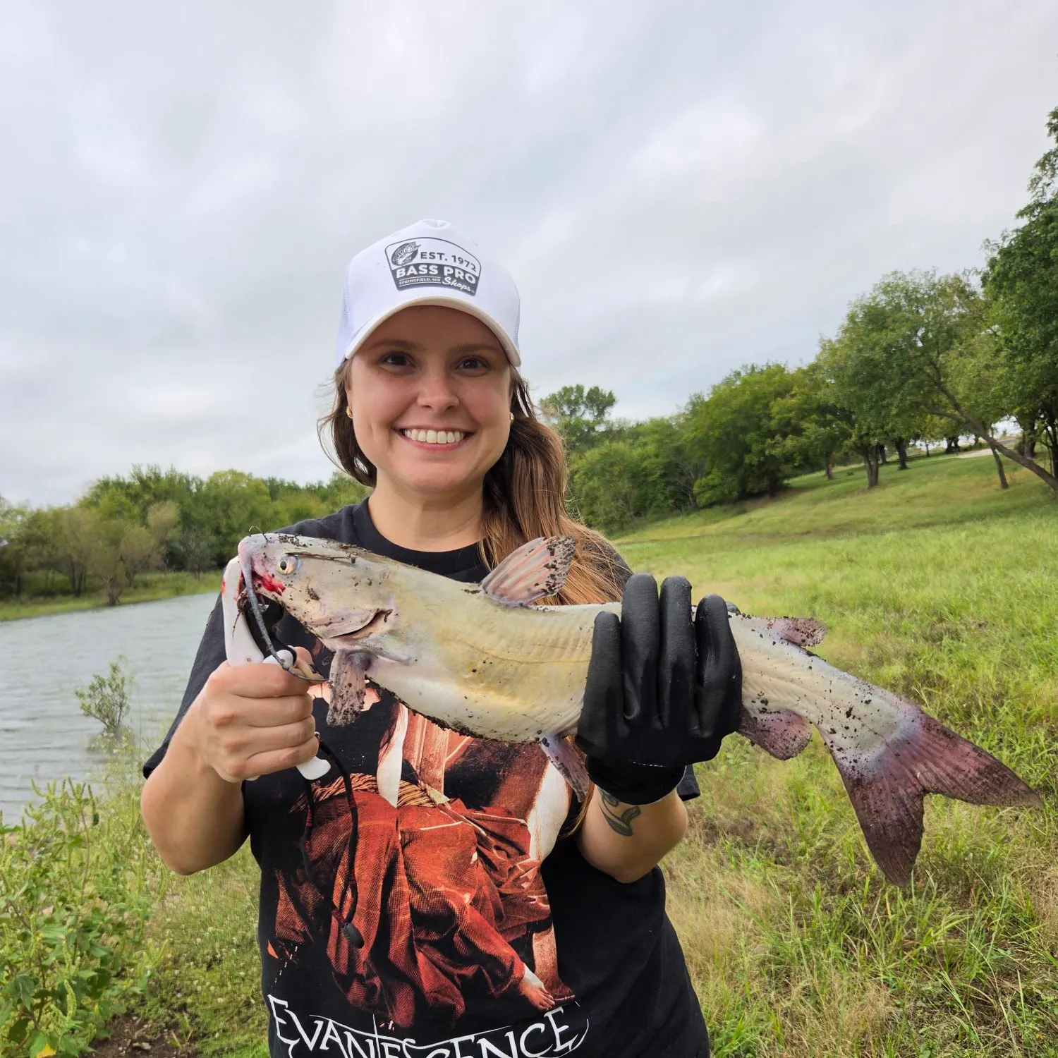 Channel catfish caught on Fishbrain