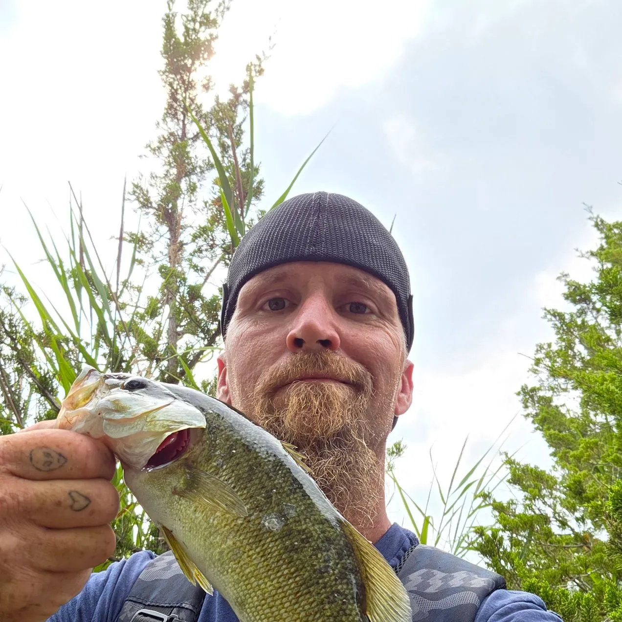 Smallmouth bass caught on Fishbrain