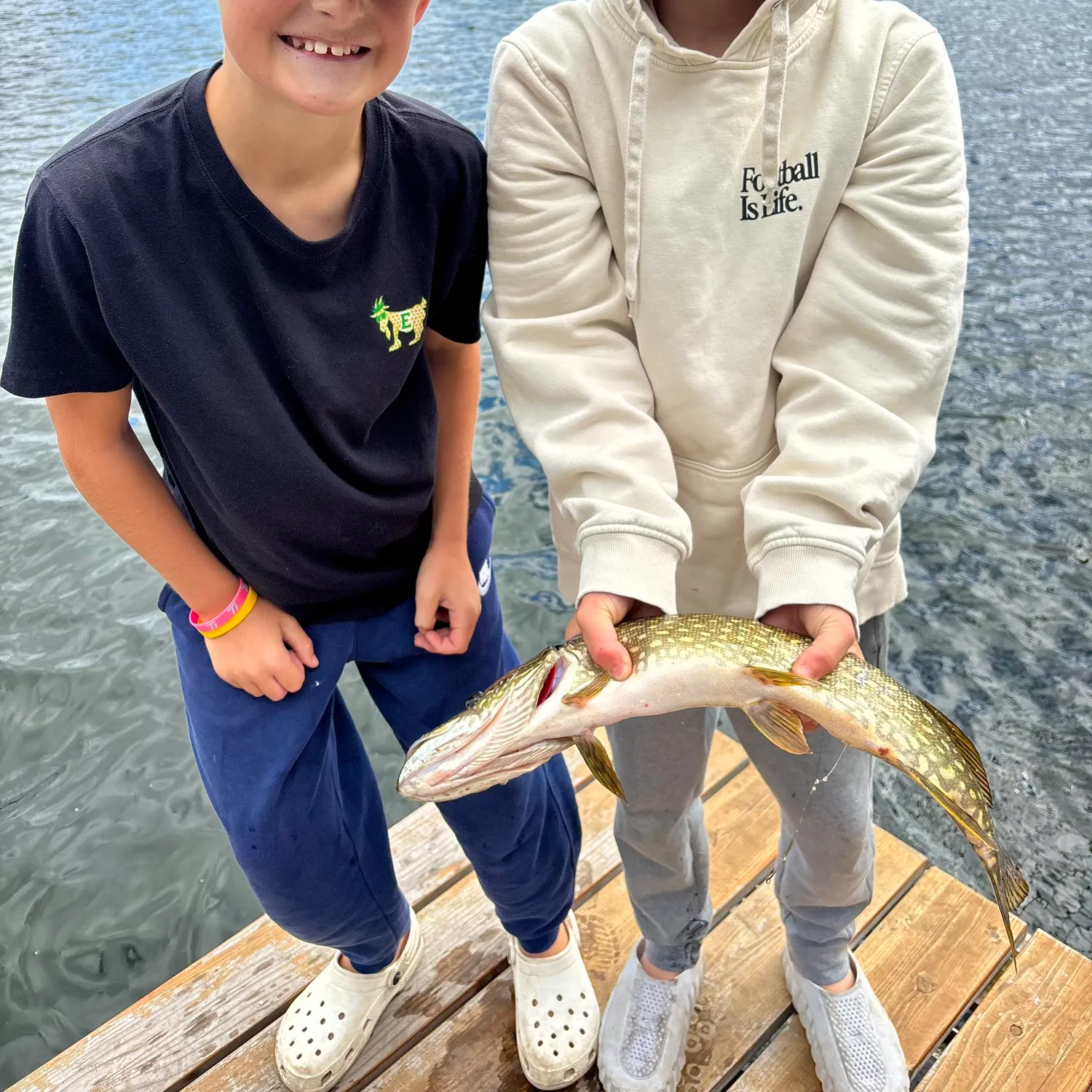 Northern pike caught on Fishbrain