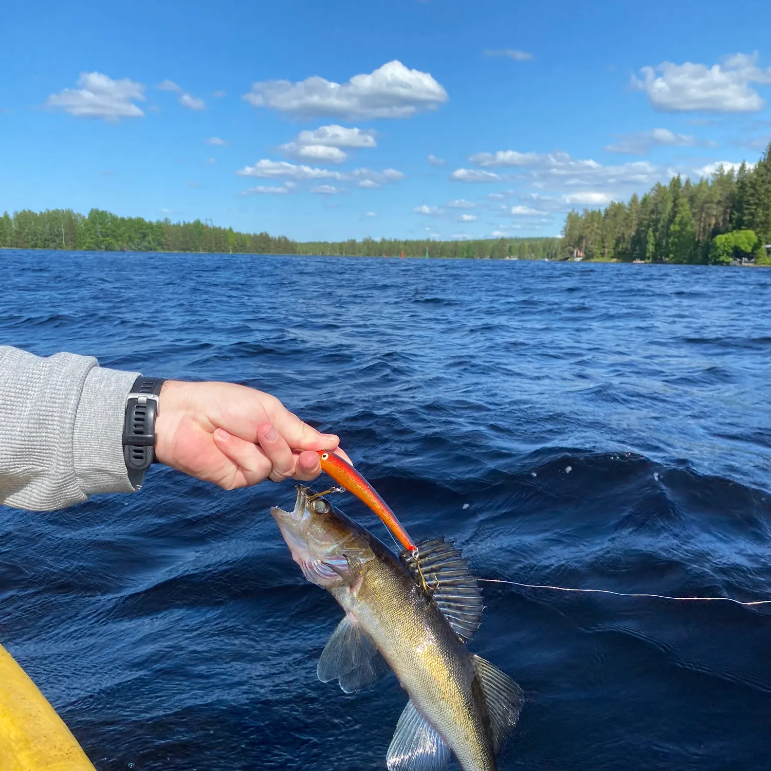 recently logged catches