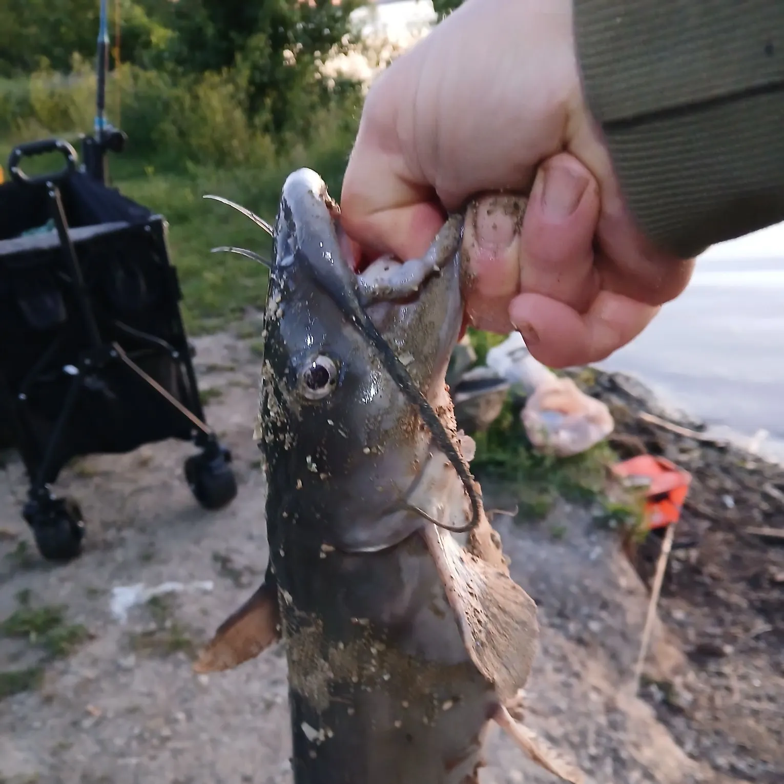 catch