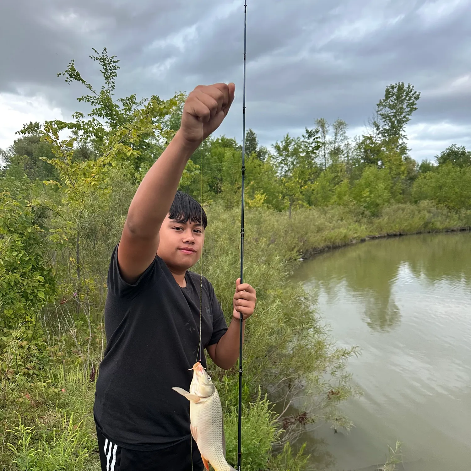 Common carp caught on Fishbrain