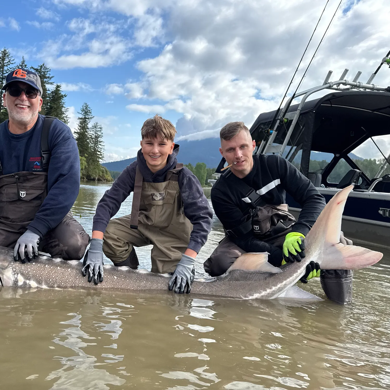 The most recent White sturgeon catches on Fishbrain