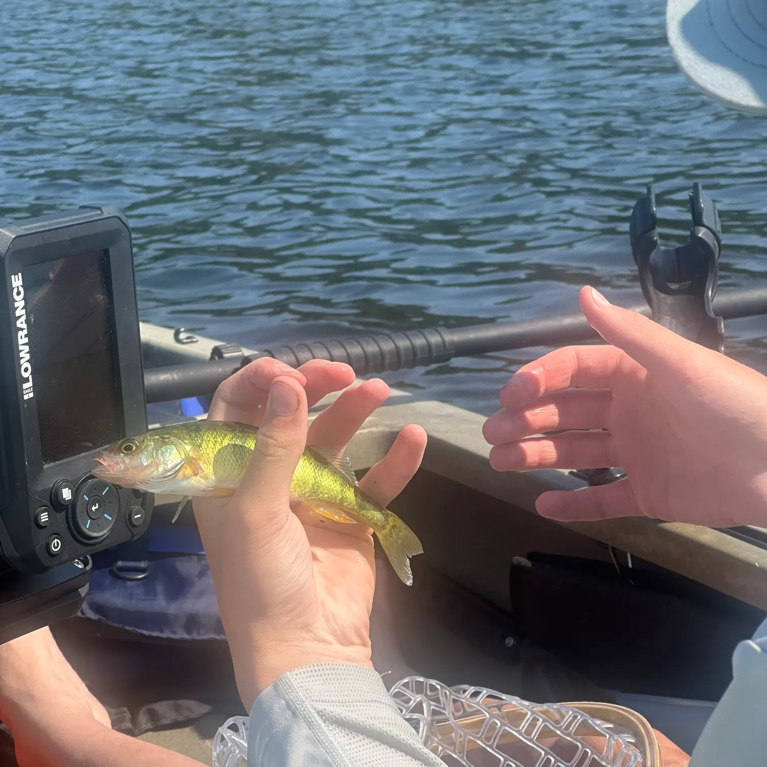 Fish caught on Fishbrain