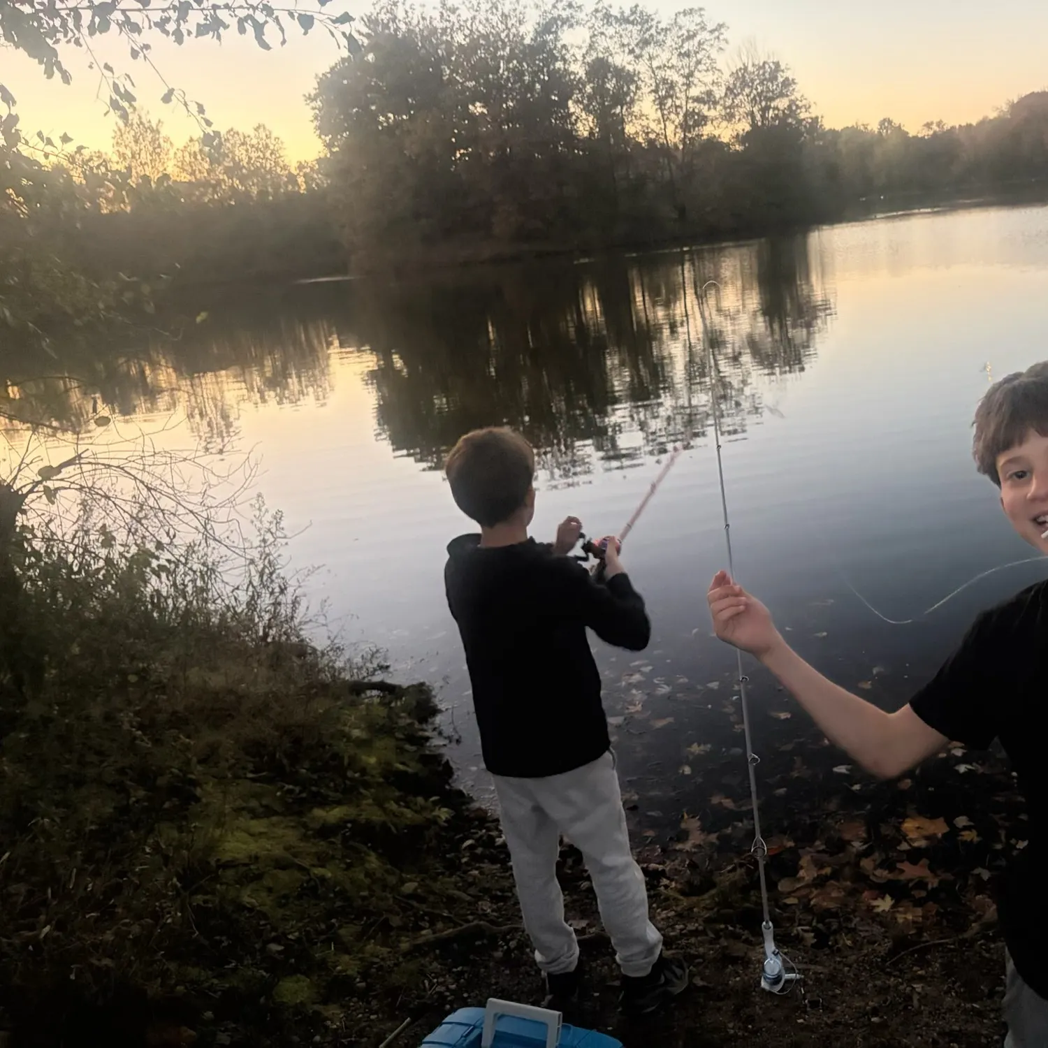 Black crappie caught on Fishbrain