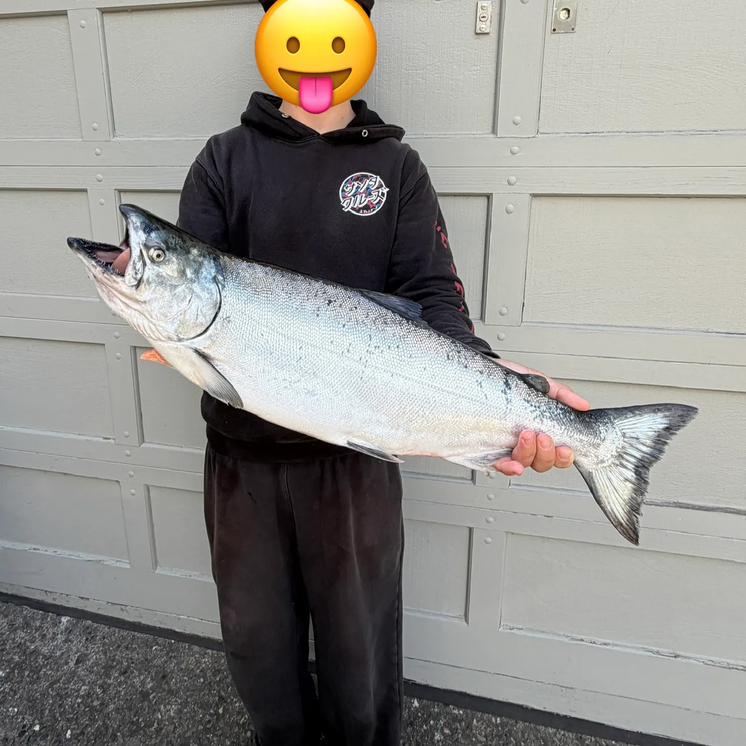 Chinook salmon caught on Fishbrain