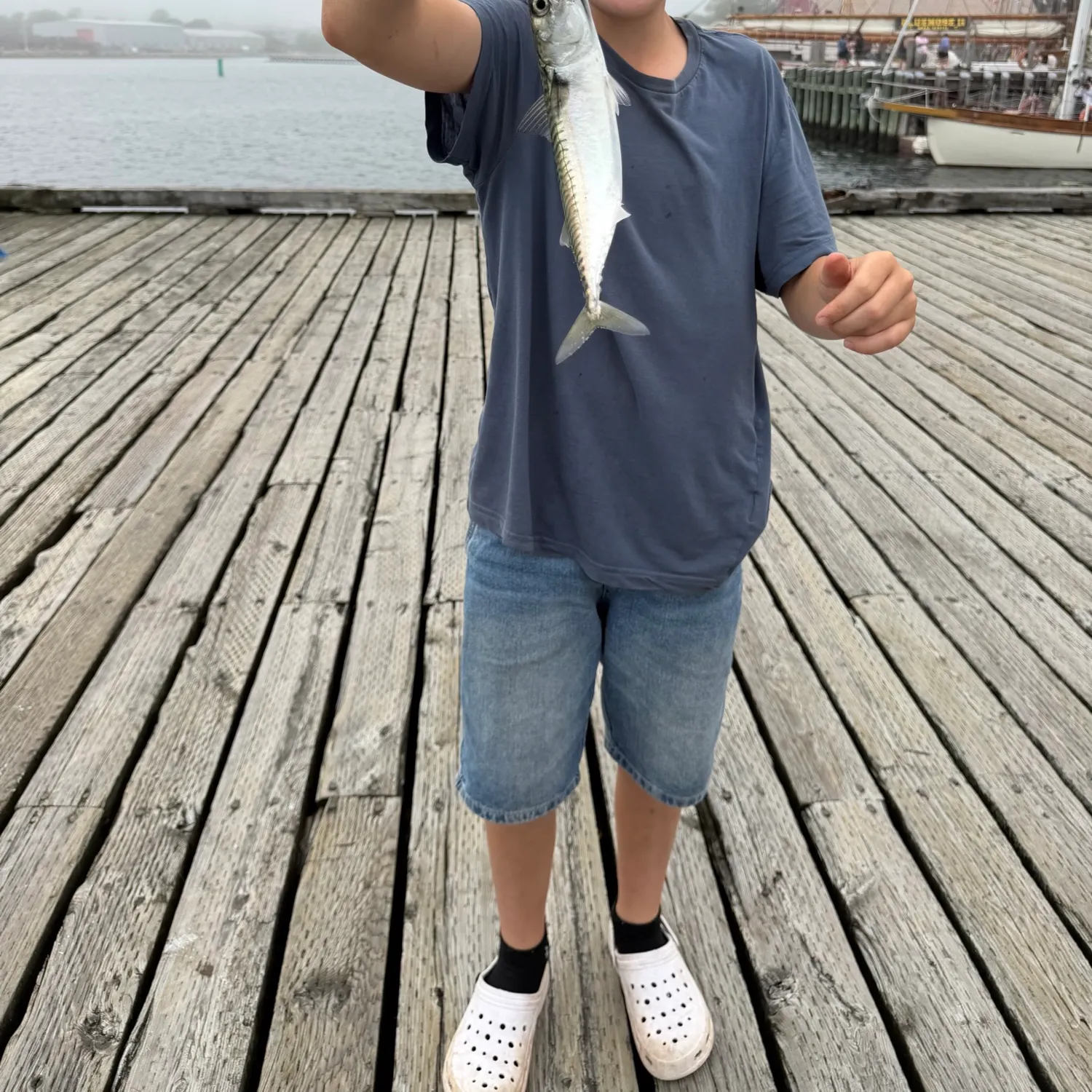 The most recent King mackerel catches on Fishbrain