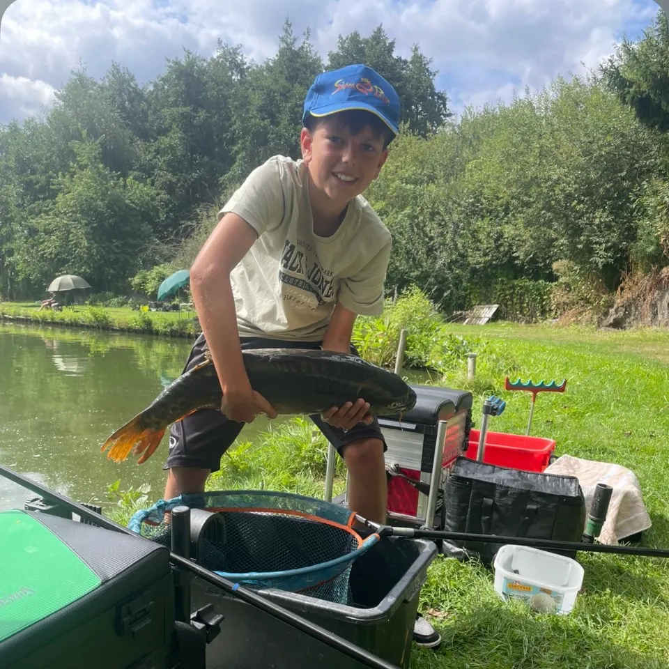 Common carp caught on Fishbrain