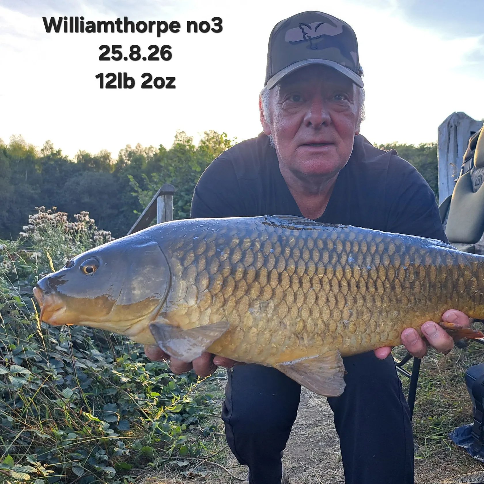 Common carp caught on Fishbrain