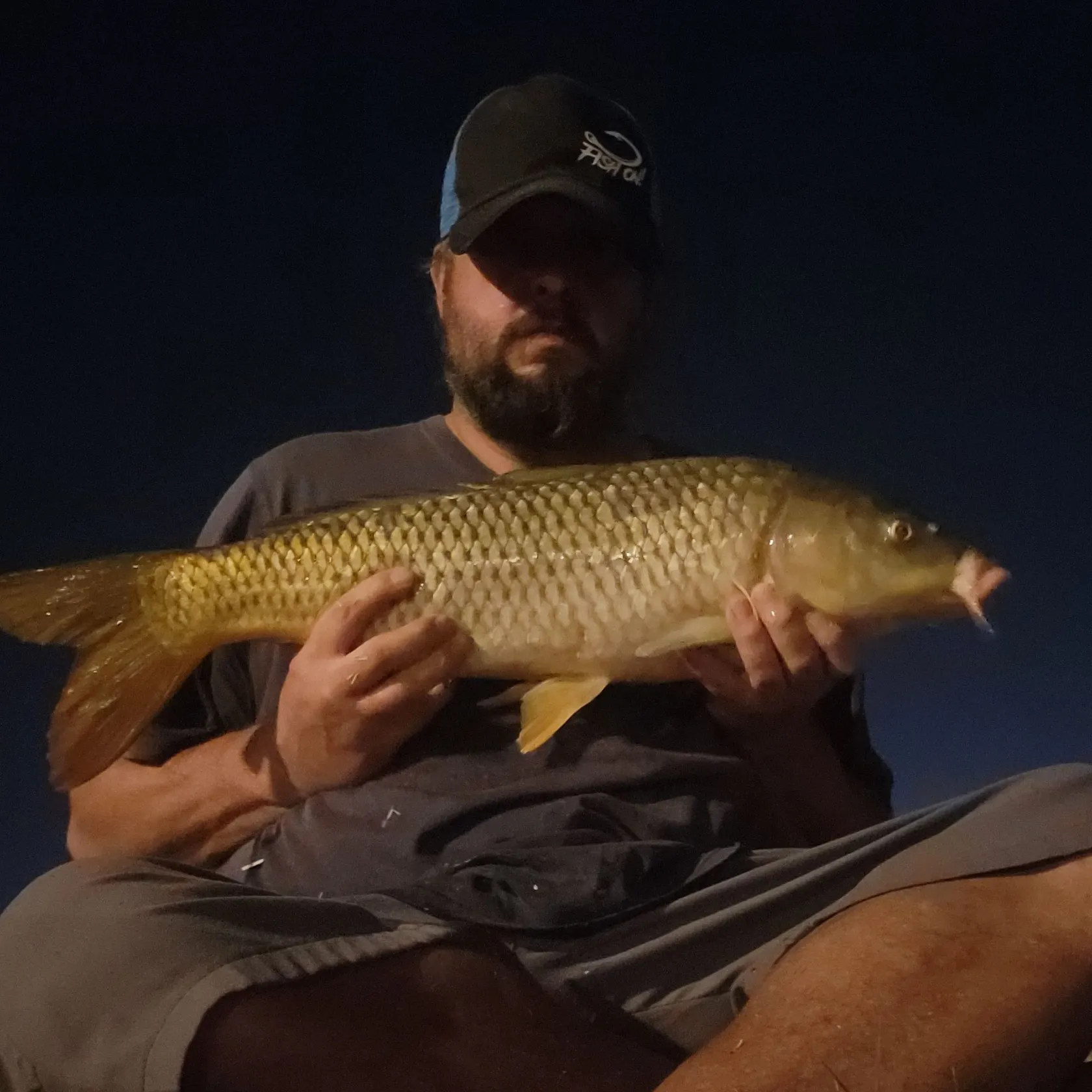 Common carp caught on Fishbrain