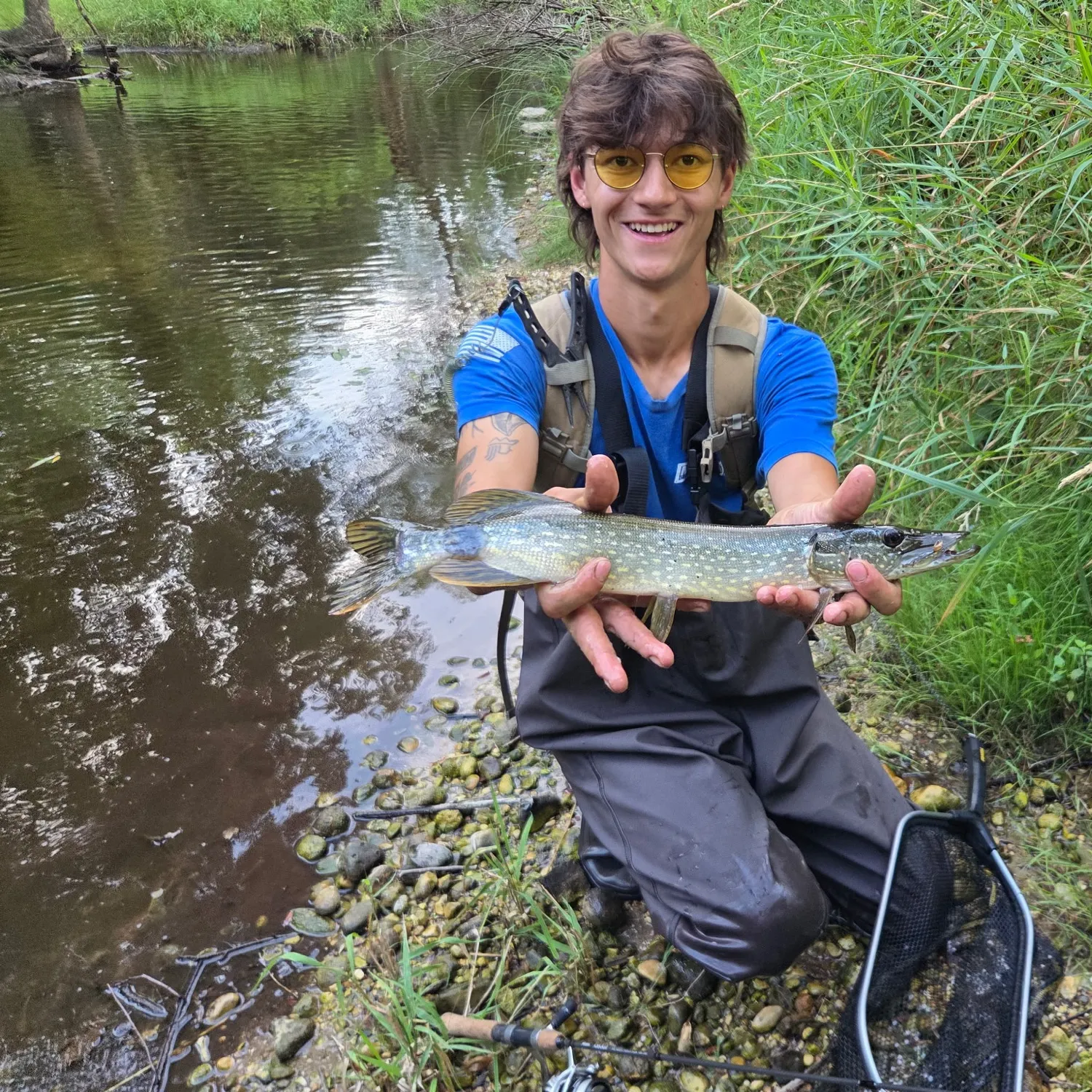 The most recent Northern pike catches on Fishbrain