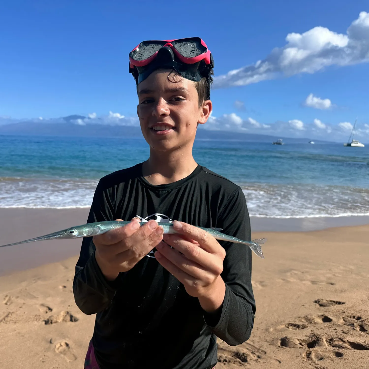 The most recent Keeled needlefish catches on Fishbrain