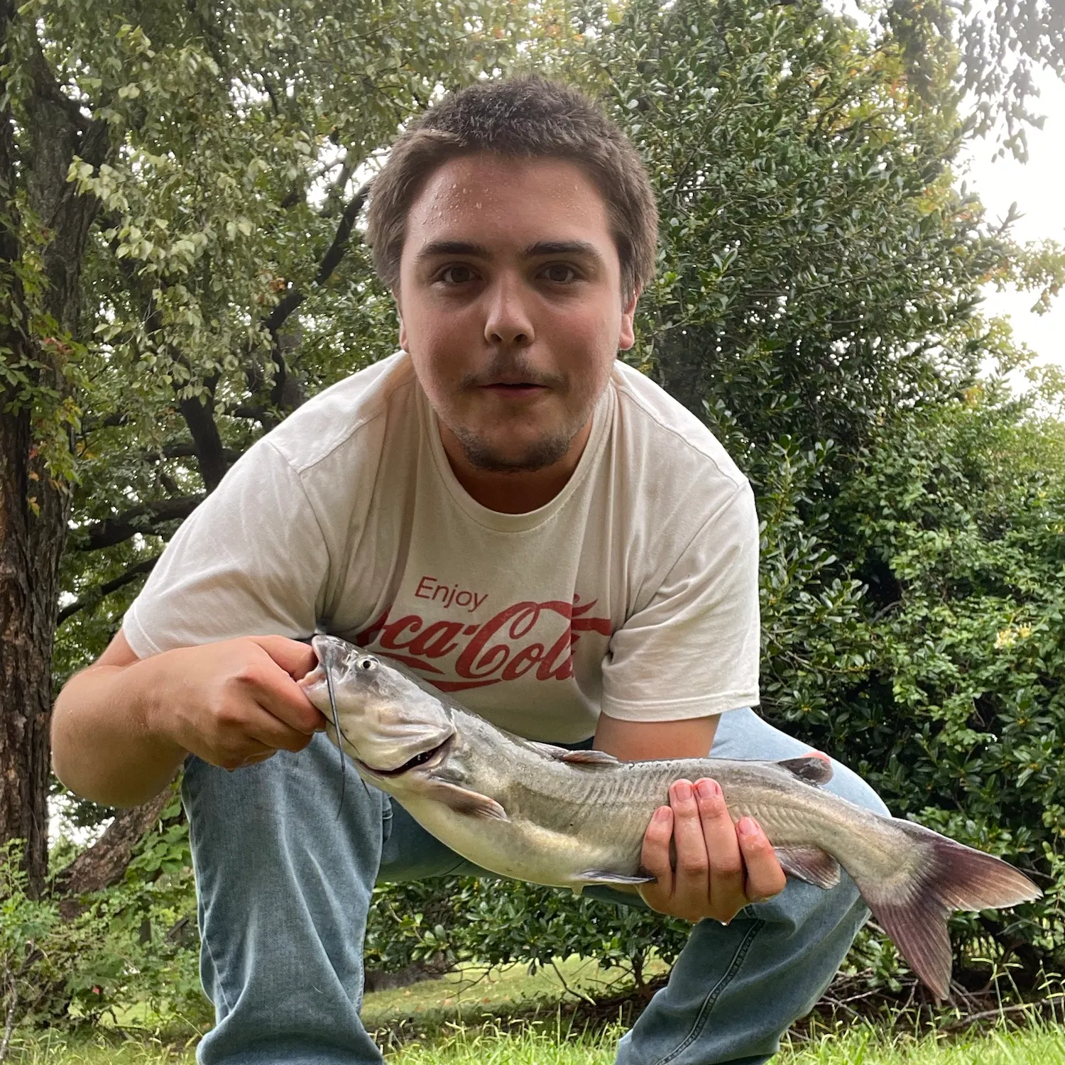 Channel catfish caught on Fishbrain