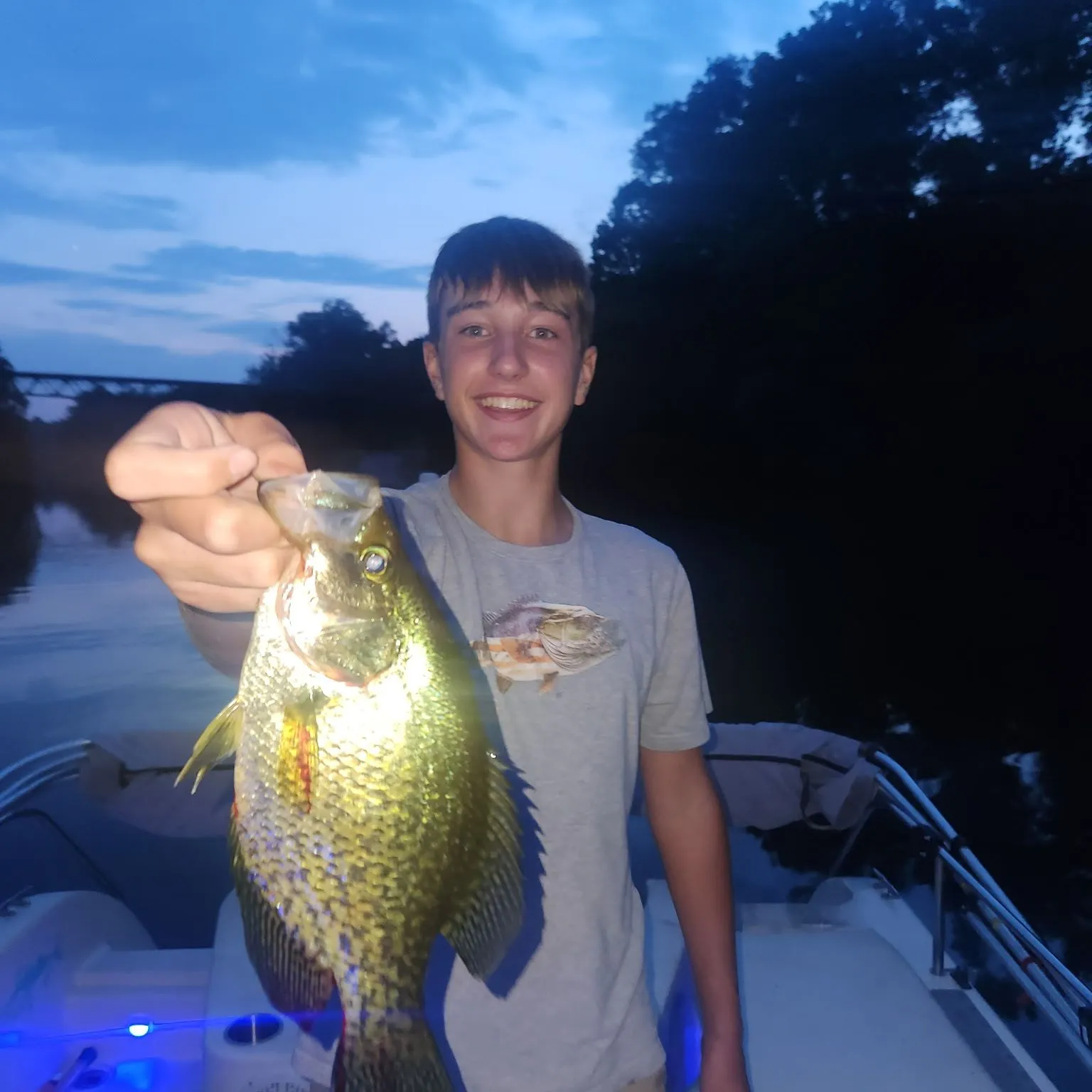 Black crappie caught on Fishbrain