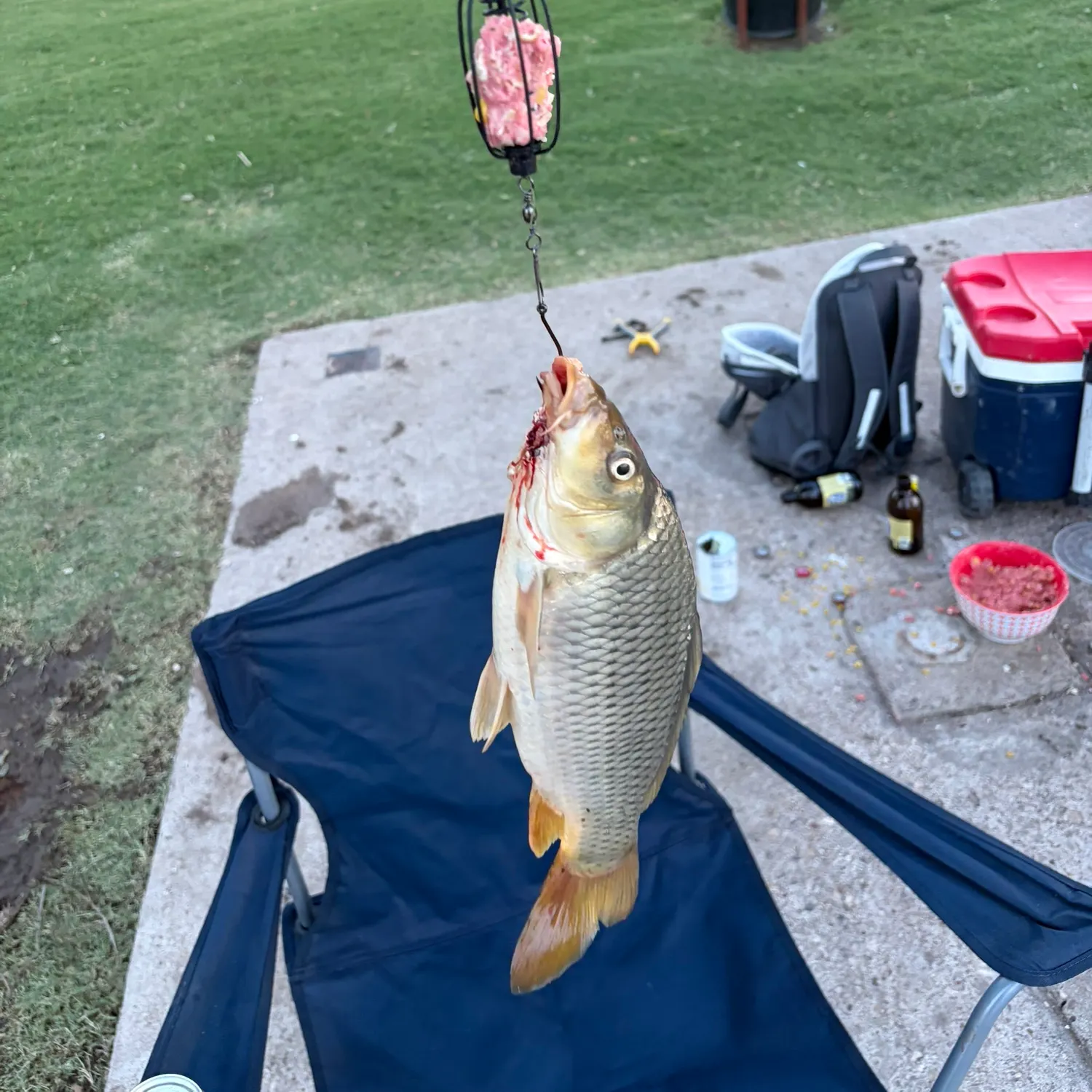 catch