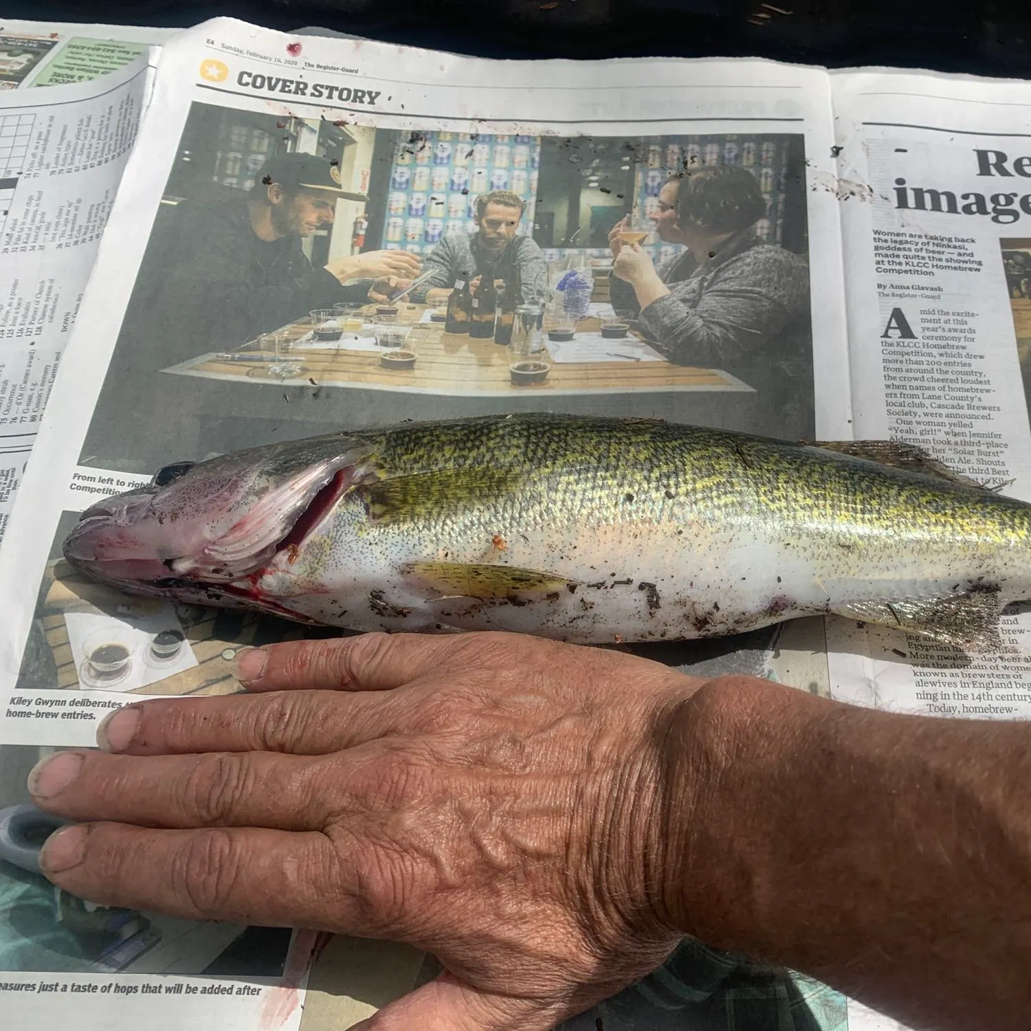 recently logged catches