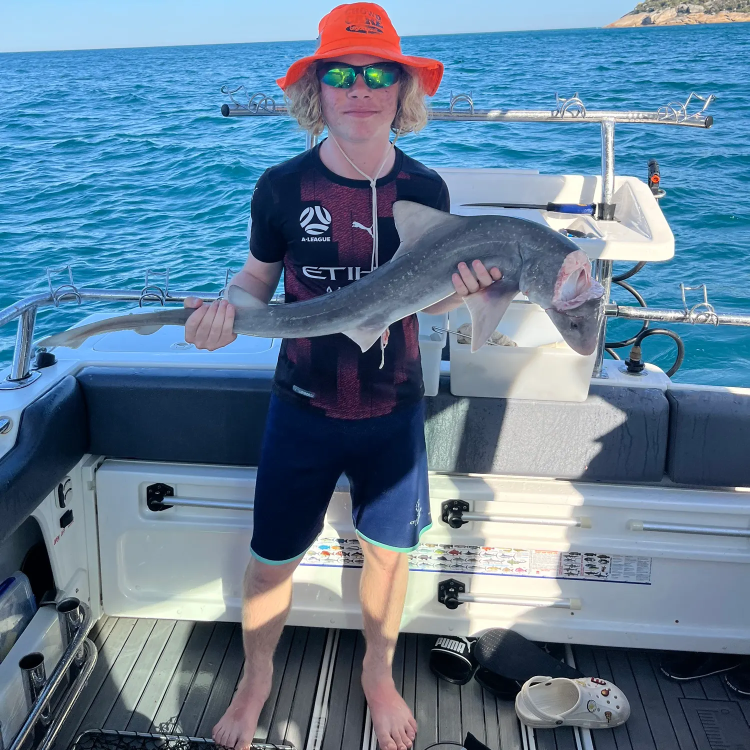 The most recent Gummy shark catches on Fishbrain