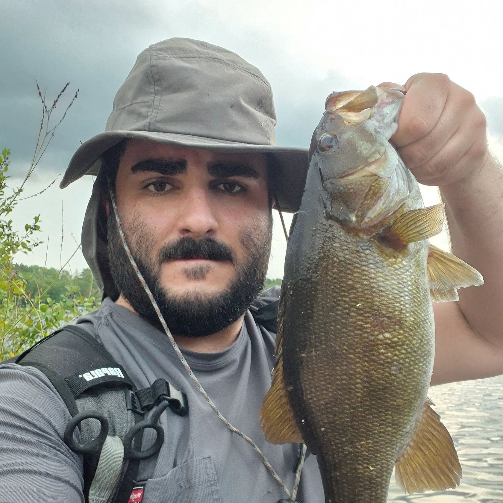Smallmouth bass caught on Fishbrain