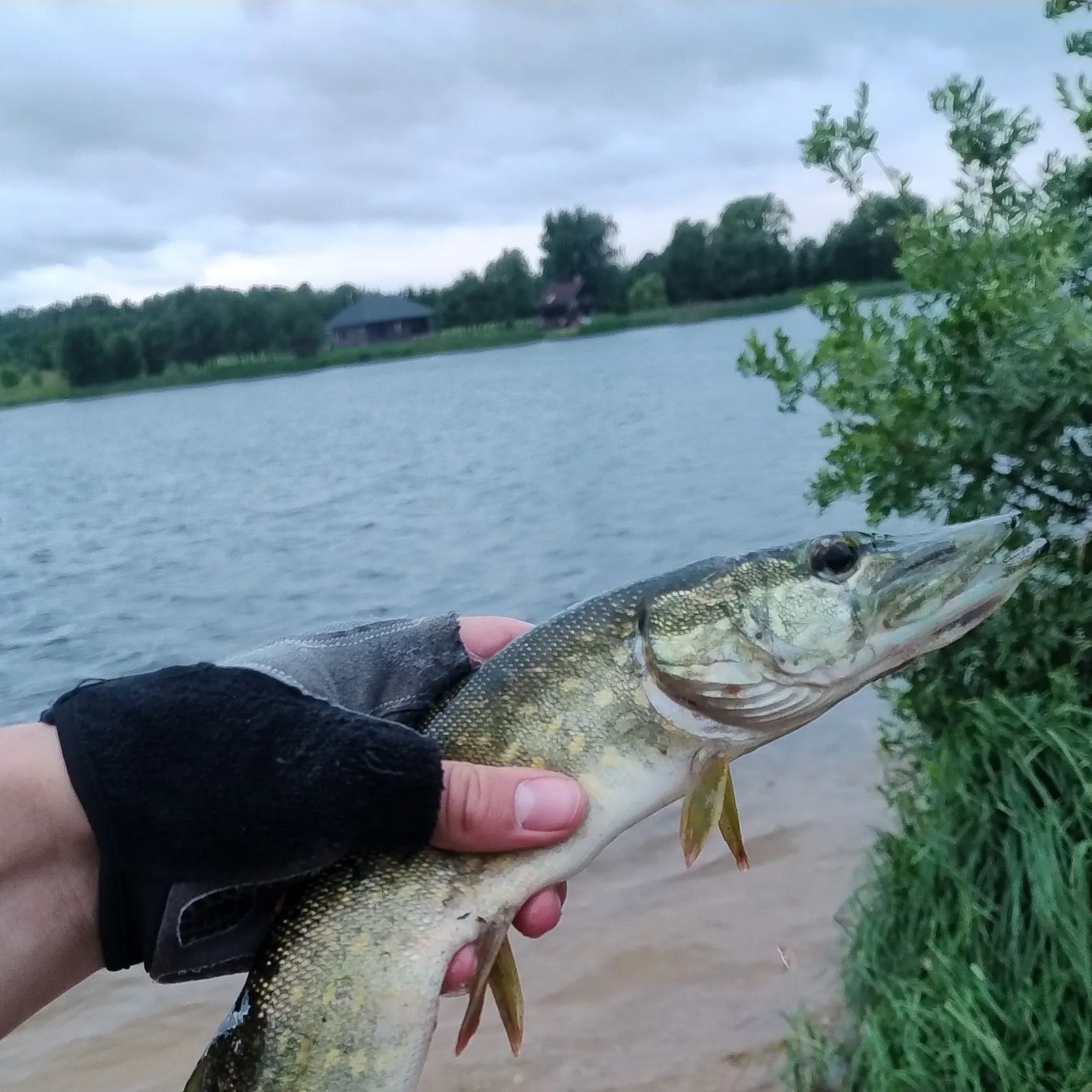 catch