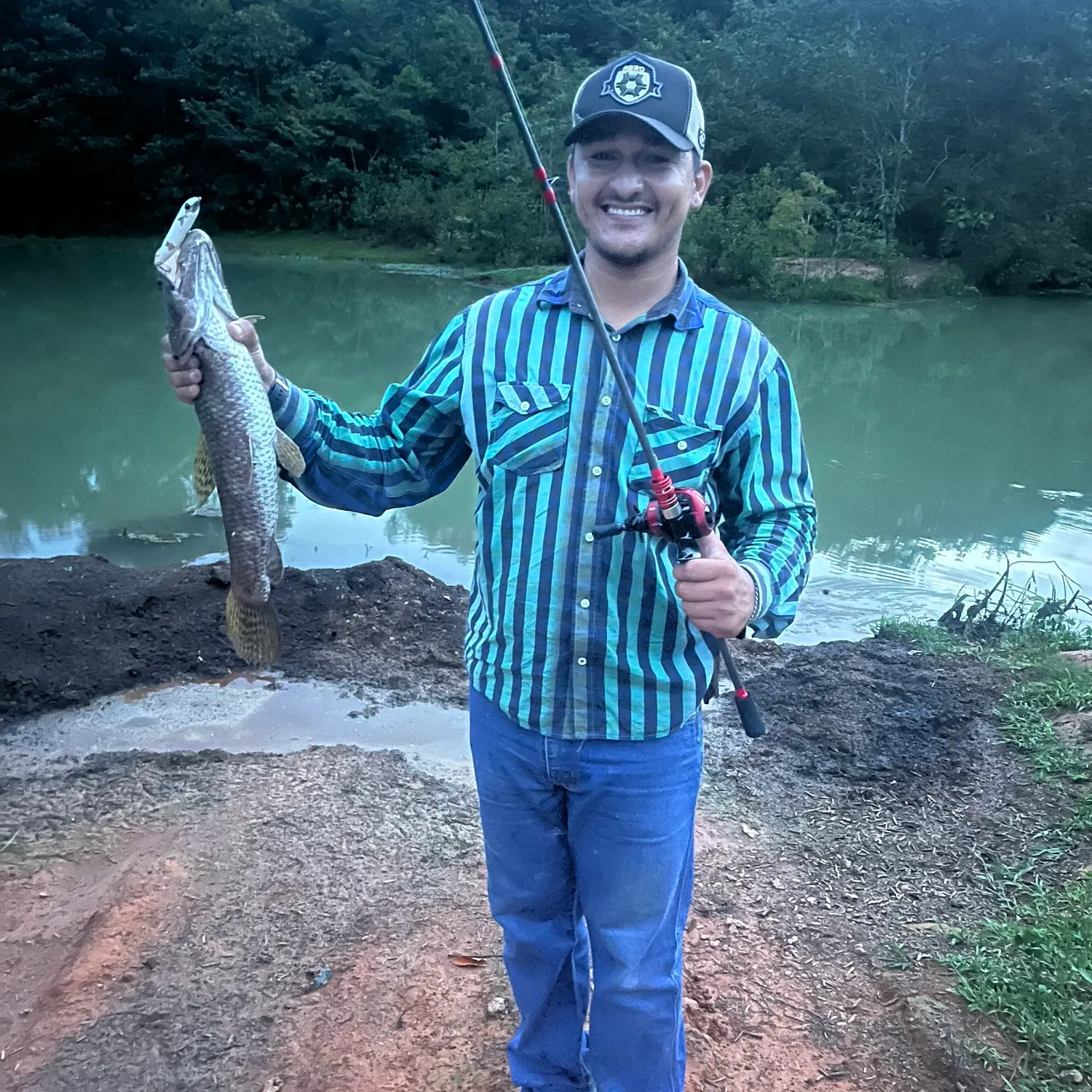 The most recent Trahira catches on Fishbrain