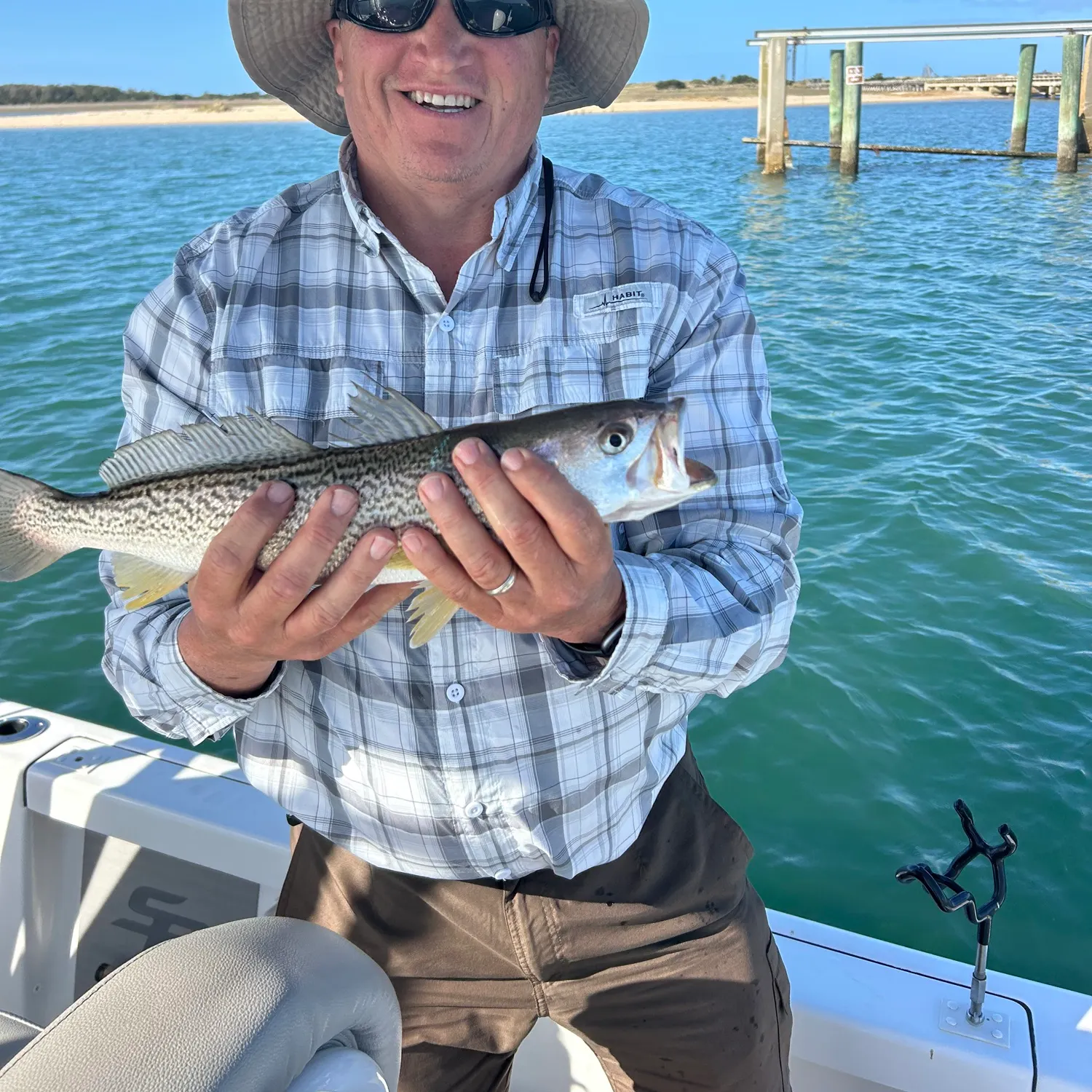 The most recent Gray weakfish catches on Fishbrain