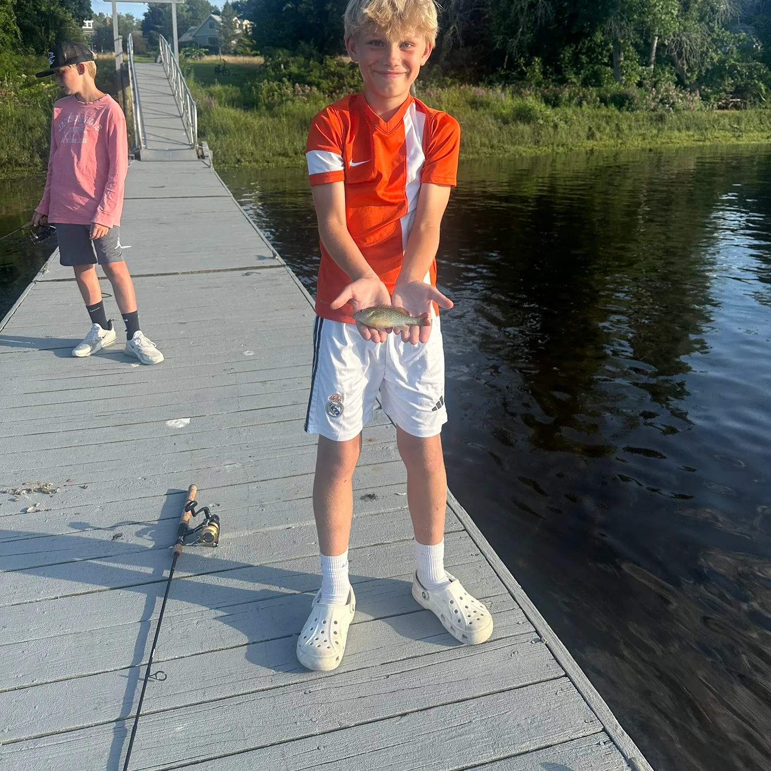 The most recent Warmouth x redear sunfish catches on Fishbrain