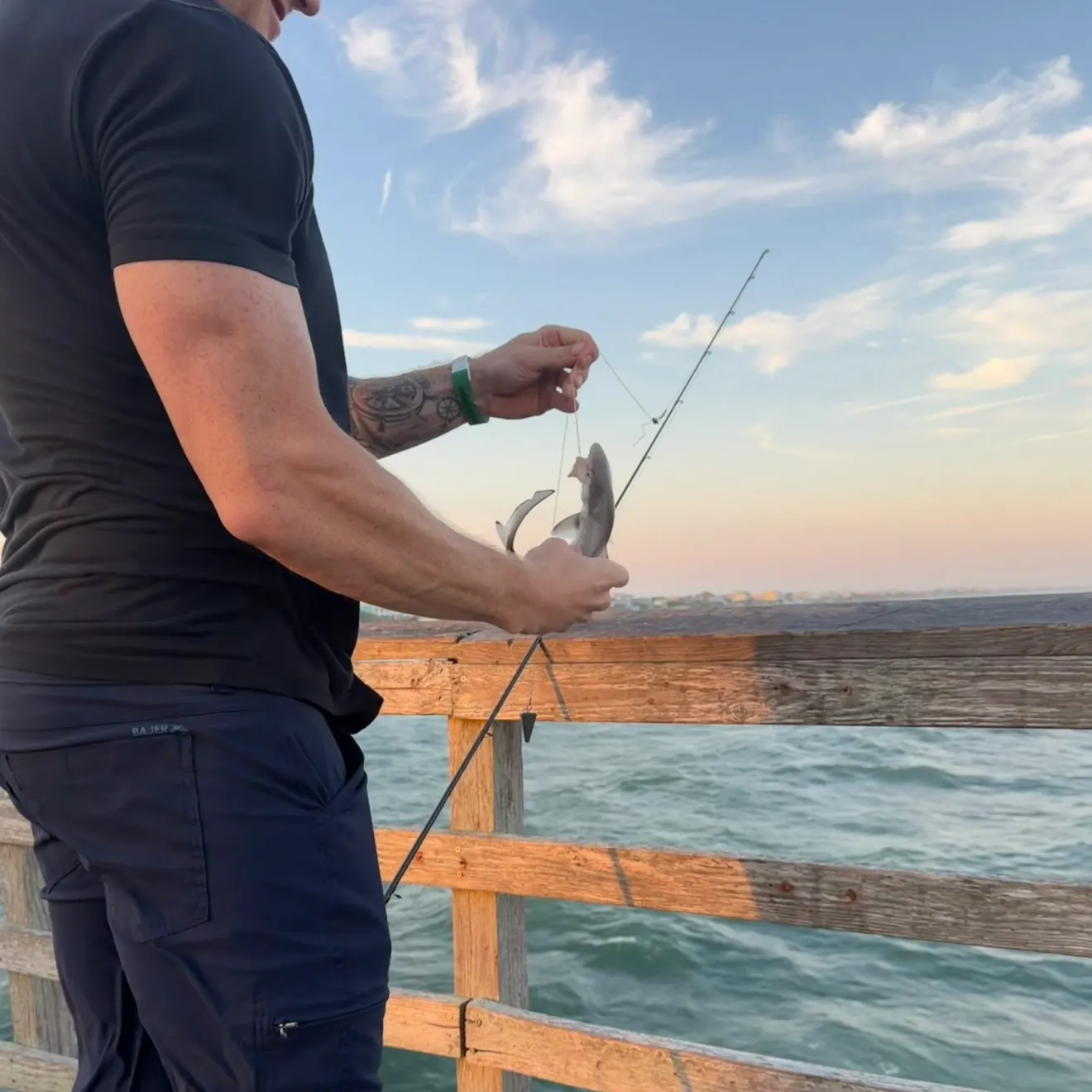 The most recent Atlantic sharpnose shark catches on Fishbrain