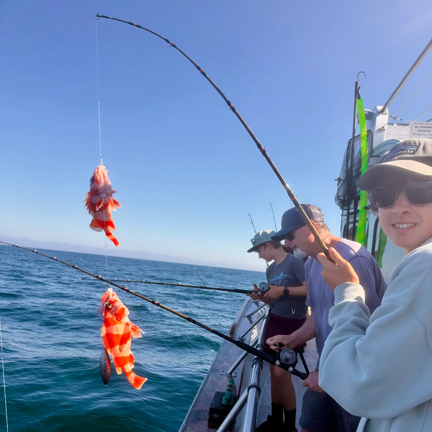 Flag rockfish caught on Fishbrain